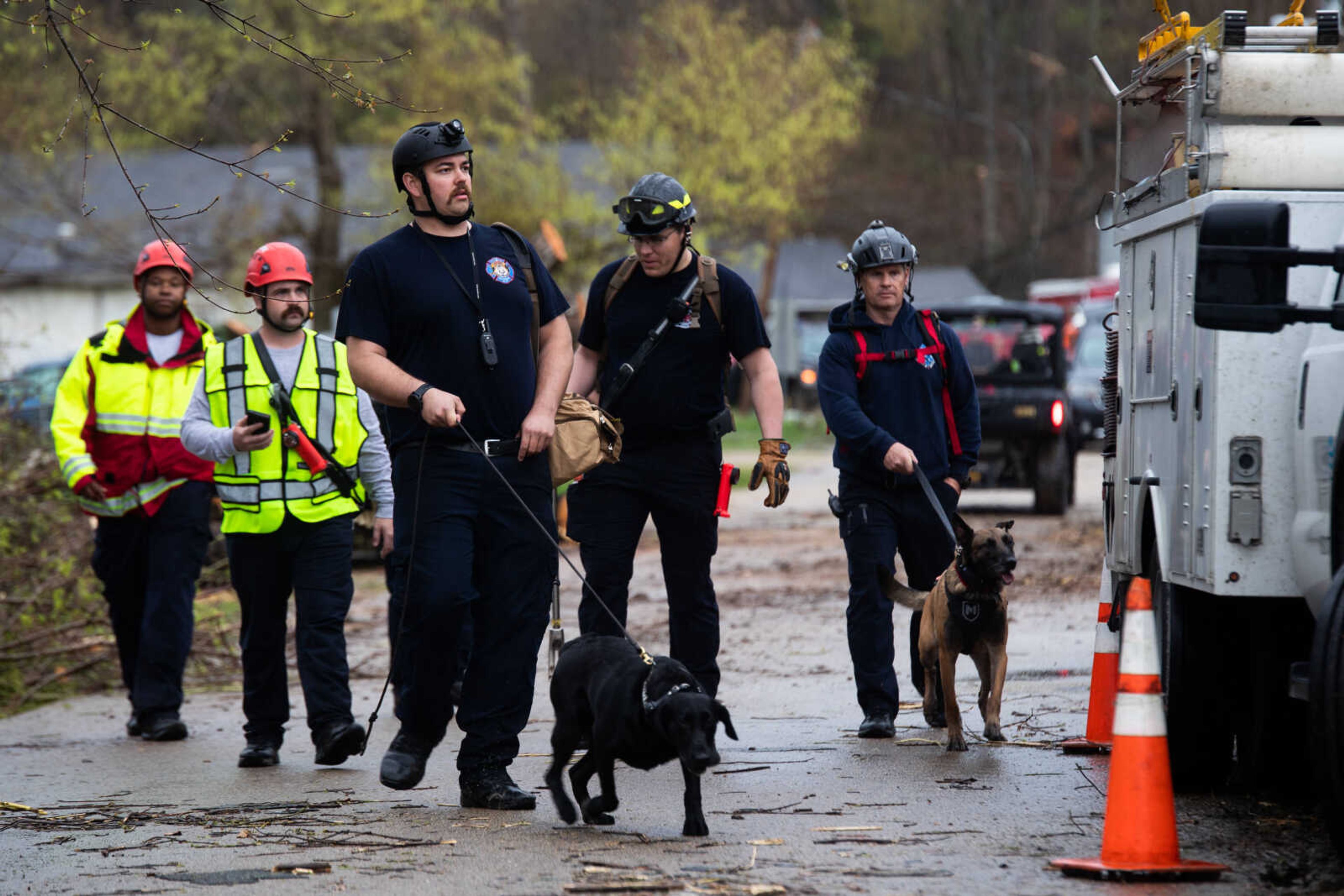 Emergency responders use rescue dogs to search through the rubble.