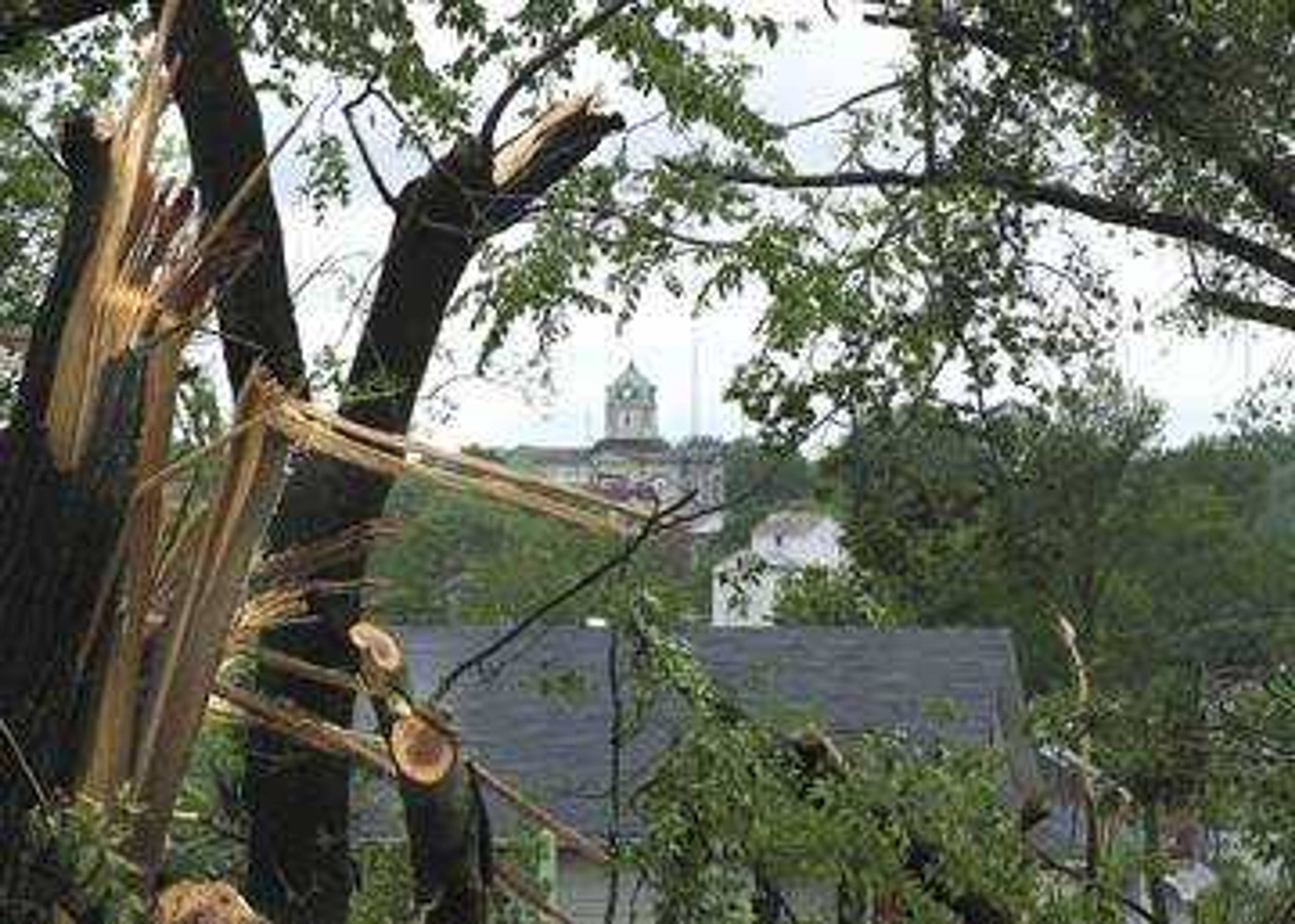 Framed by broken and splintered tree limbs after Tuesday night's tornado, the Cape Girardeau County Court House can be seen from the area near Woodland Drive and Howard Street in Jackson.