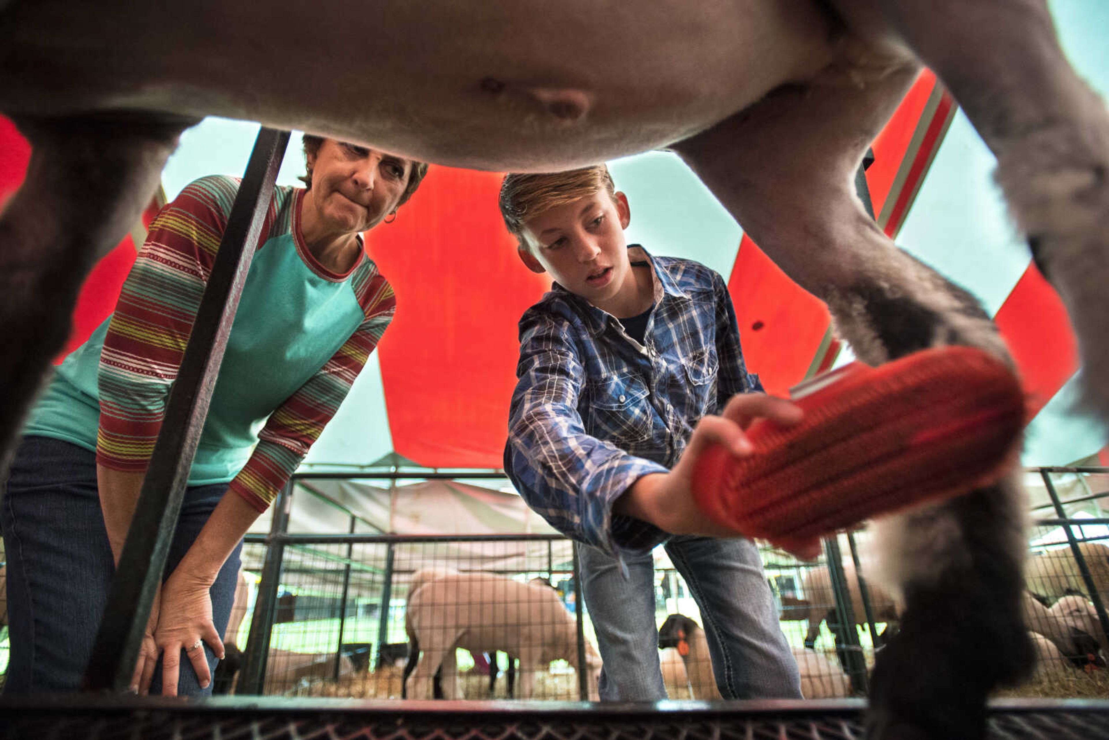 Debbie Bacon, left, watches as Riley Russel primps his sheep for the 4H market show during the SEMO District Fair Wednesday, Sept. 13, 2017 at Arena Park in Cape Girardeau.