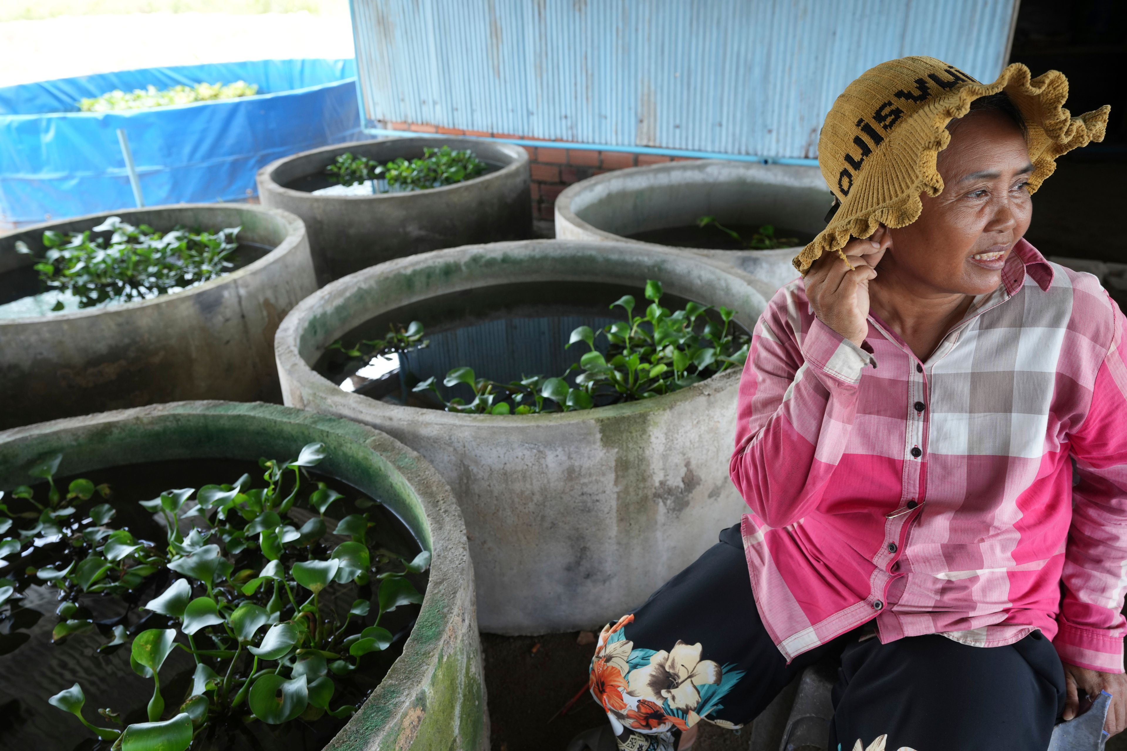 Eel farmer Luy Nga, 52, sits next to jars where eels are reared at Tonle Sap complex. north of Phnom Penh, Cambodia, Wednesday, July 31, 2024. (AP Photo/Heng Sinith)