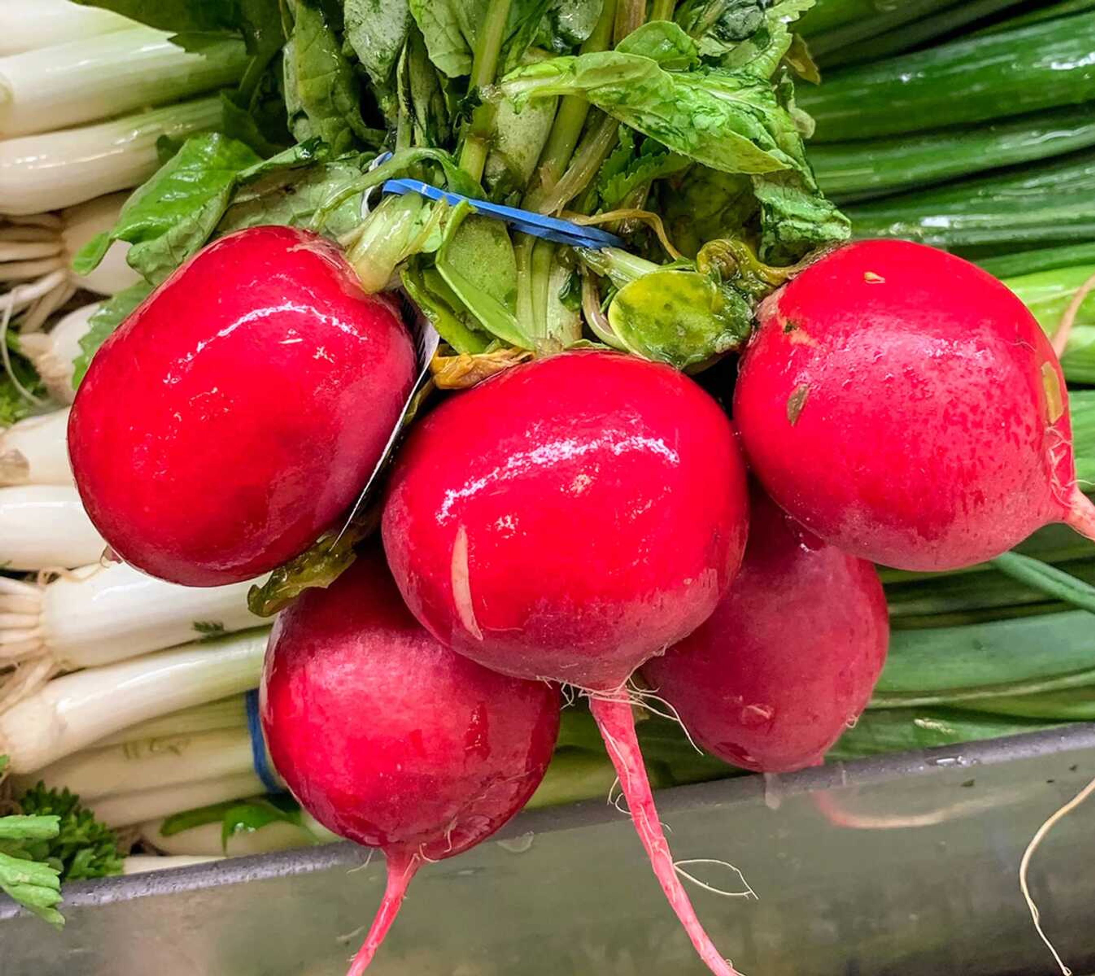 The radish, a humble root plant that deserves to be treated as something more than a mere garnish.