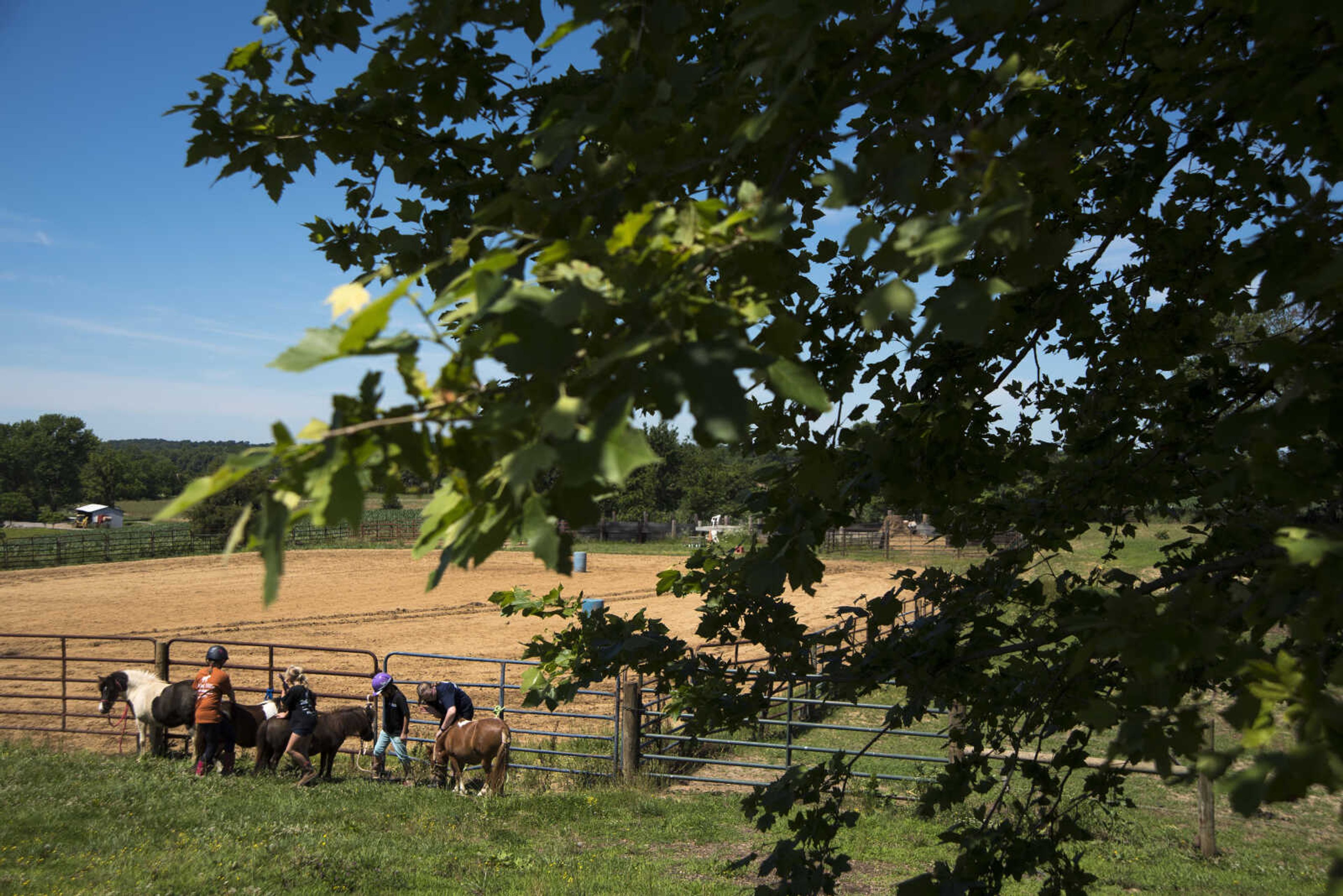 Campers braid and decorate miniature horses during the Rolling Hills Youth Day Camp Wednesday, June 7, 2017 in Cape Girardeau.