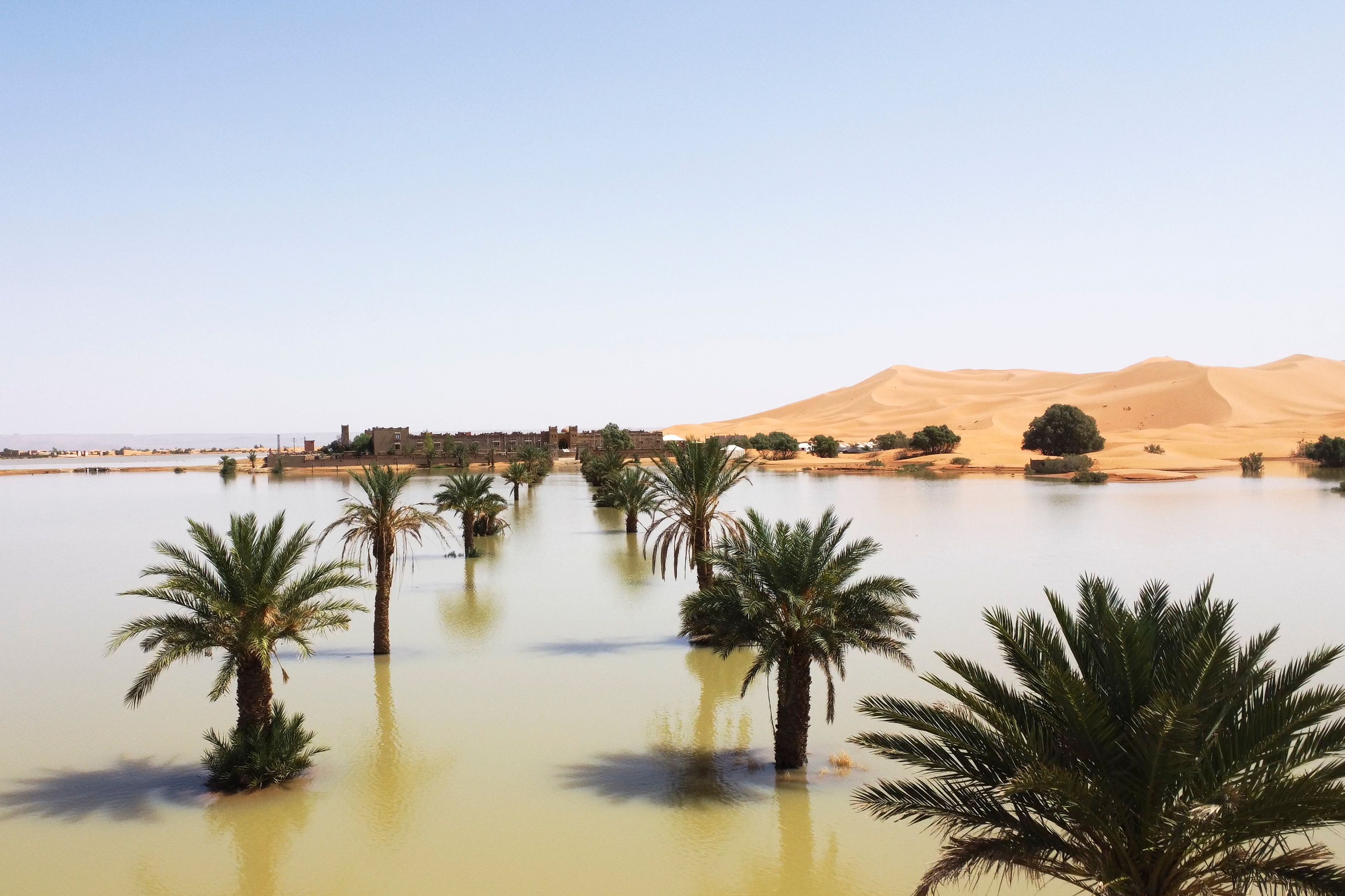 Palm trees are flooded in a lake caused by heavy rainfall in the desert town of Merzouga, near Rachidia, southeastern Morocco, Wednesday, Oct. 2, 2024. (AP Photo)