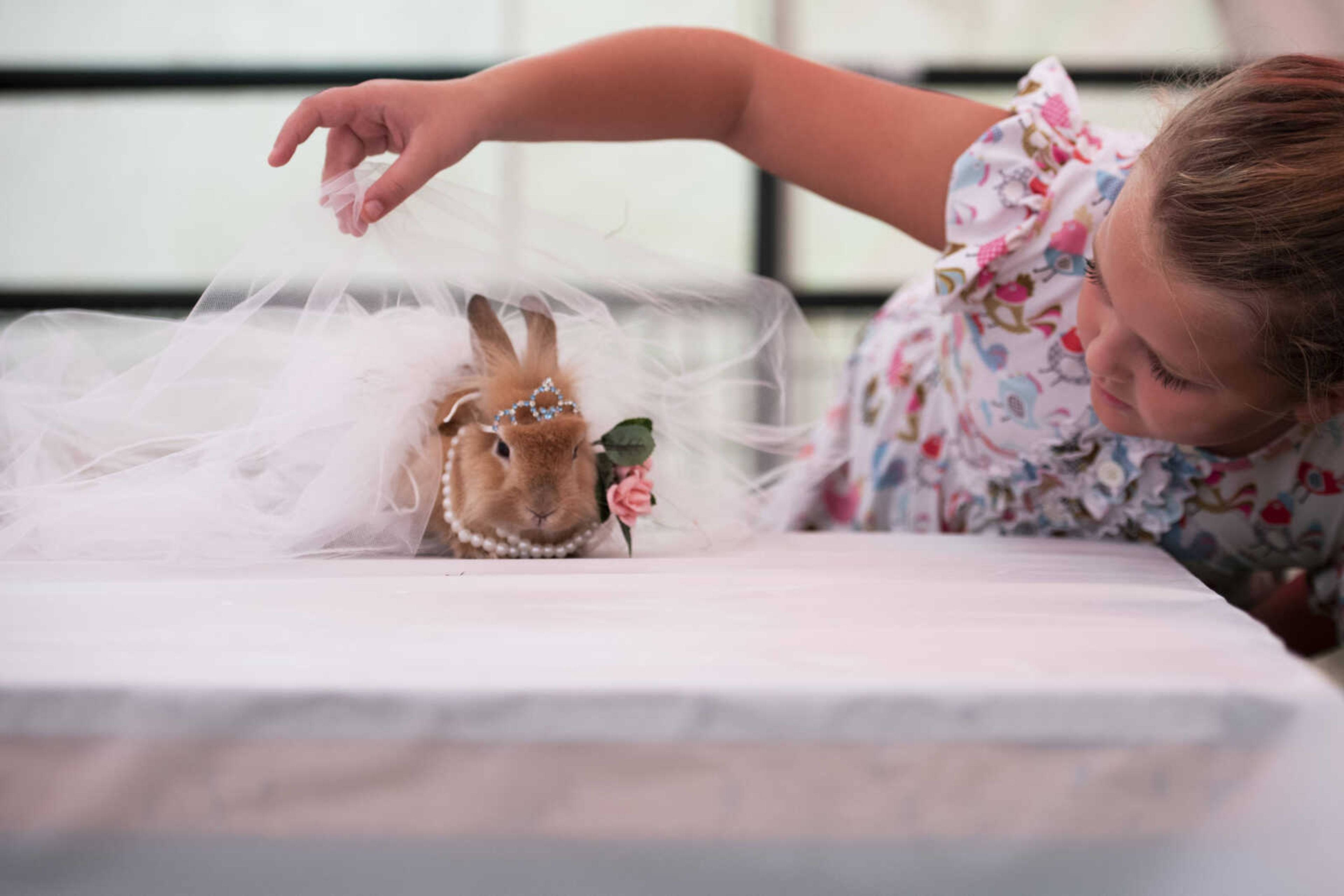 Lauren Cox, 8, adjusts the dress on her bunny Millie during the Poultry and Rabbit Dress-Up Contest at the SEMO District Fair Sunday, Sept. 9, 2018 in Cape Girardeau.