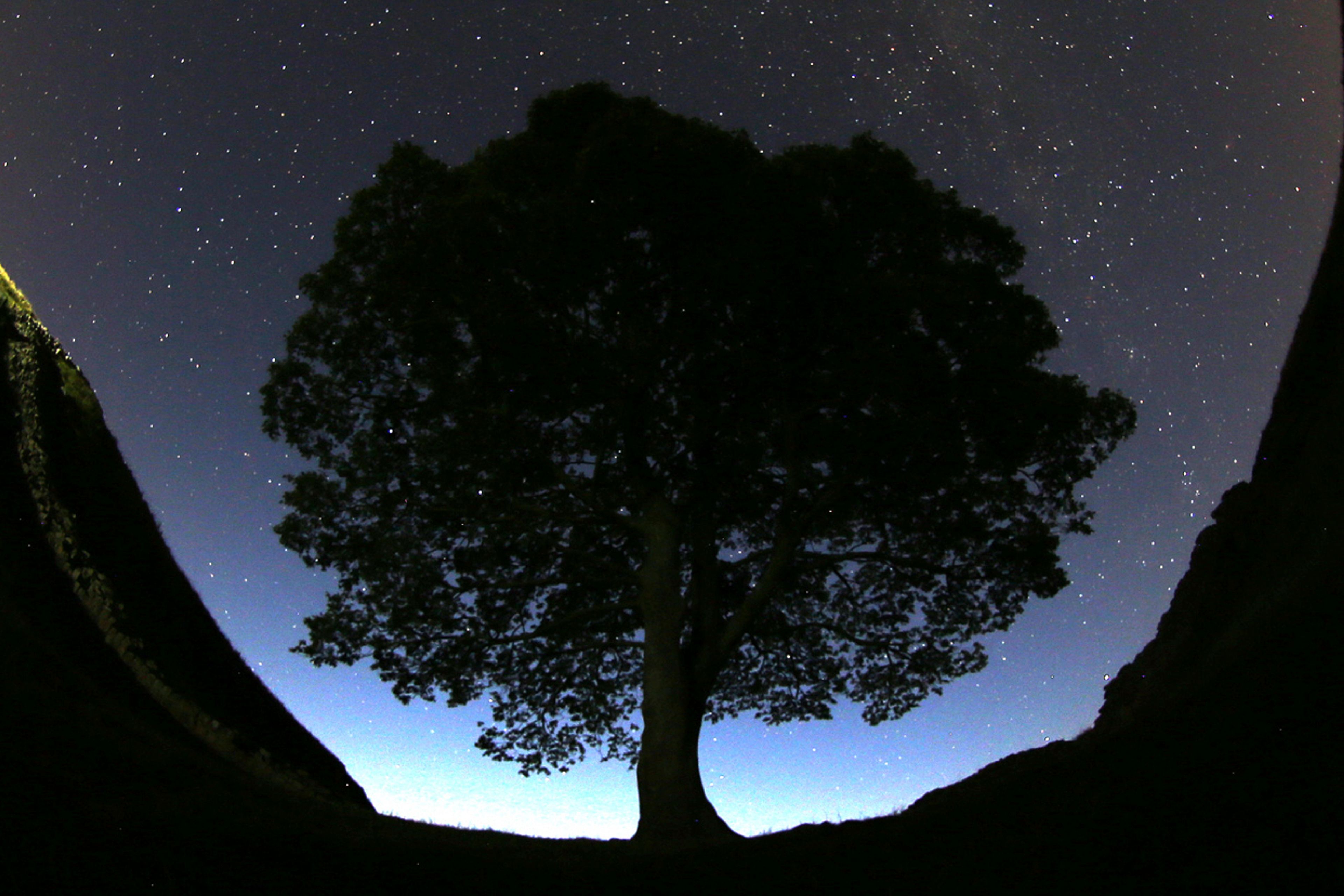 FILE - A general view of the stars above Sycamore Gap prior to the Perseid Meteor Shower above Hadrian's Wall near Bardon Mill, England, Wednesday, Aug. 12, 2015. (AP Photo/Scott Heppell, File)