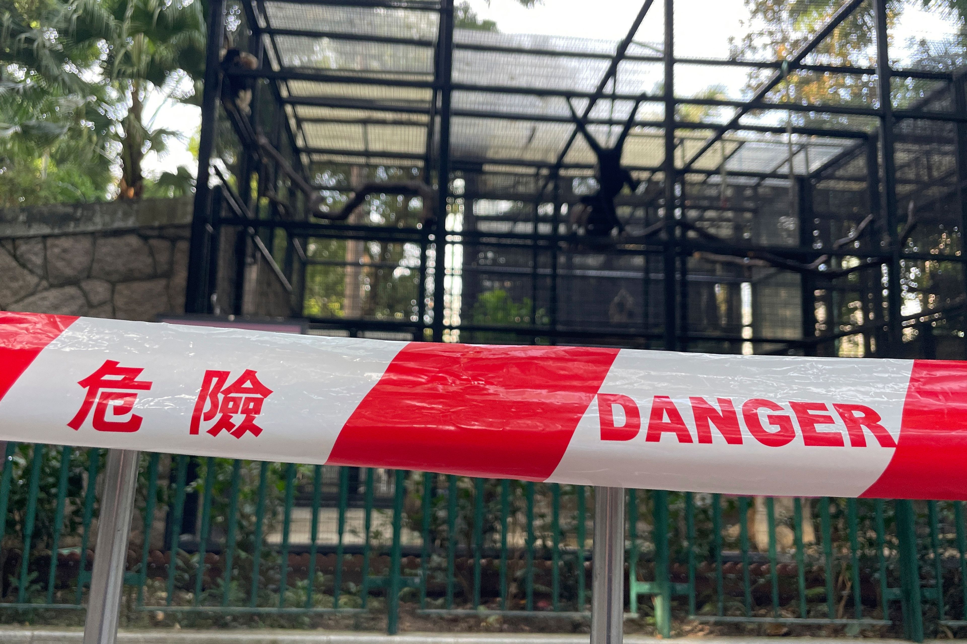 A Hong Kong zoo seeks answers after 9 monkeys die in 2 days