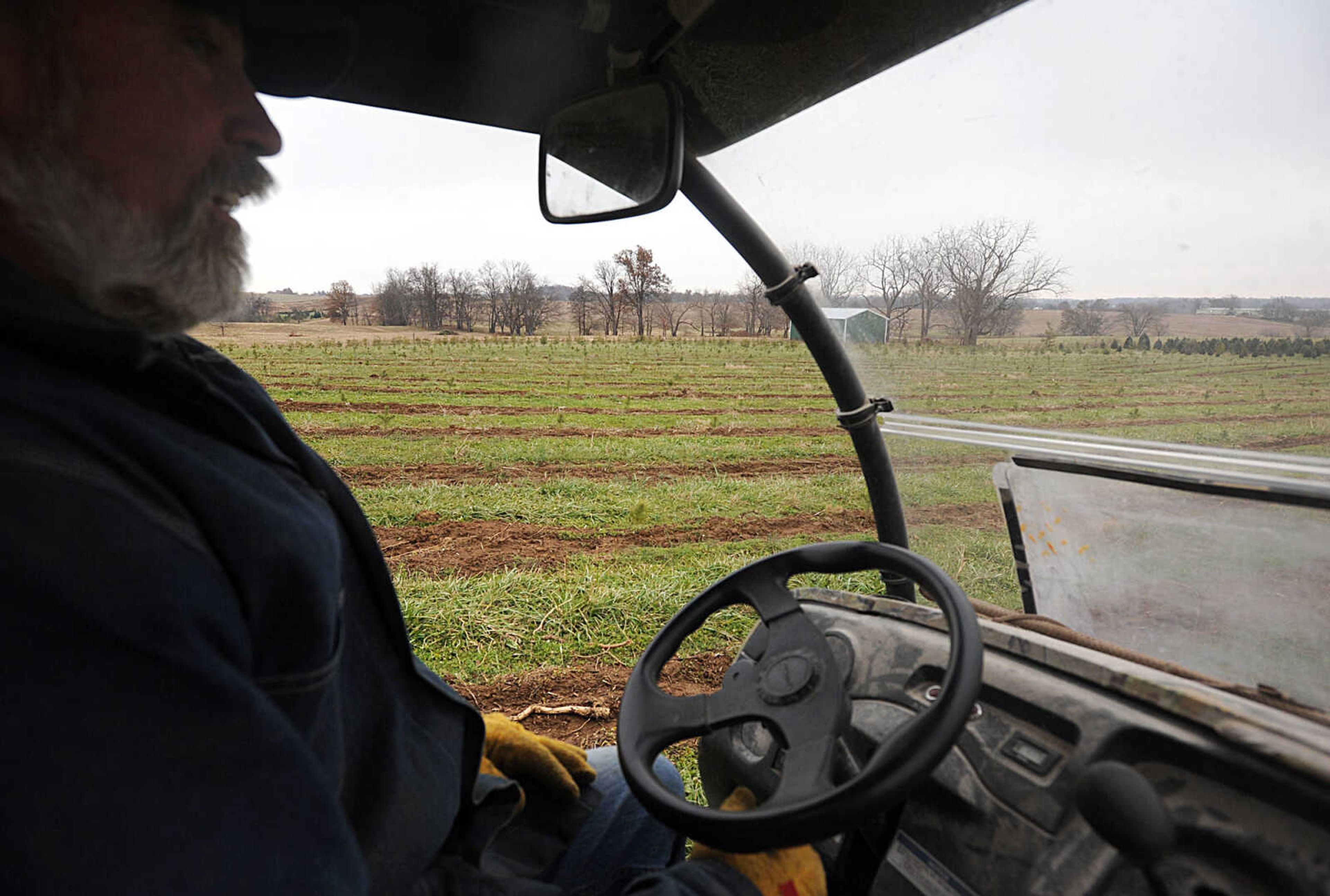 LAURA SIMON ~ lsimon@semissourian.com

Steve Meier drives past a field of recently planted seedlings, Wednesday, Nov. 26, 2014, at Meier Horse Shoe Pines in Jackson.