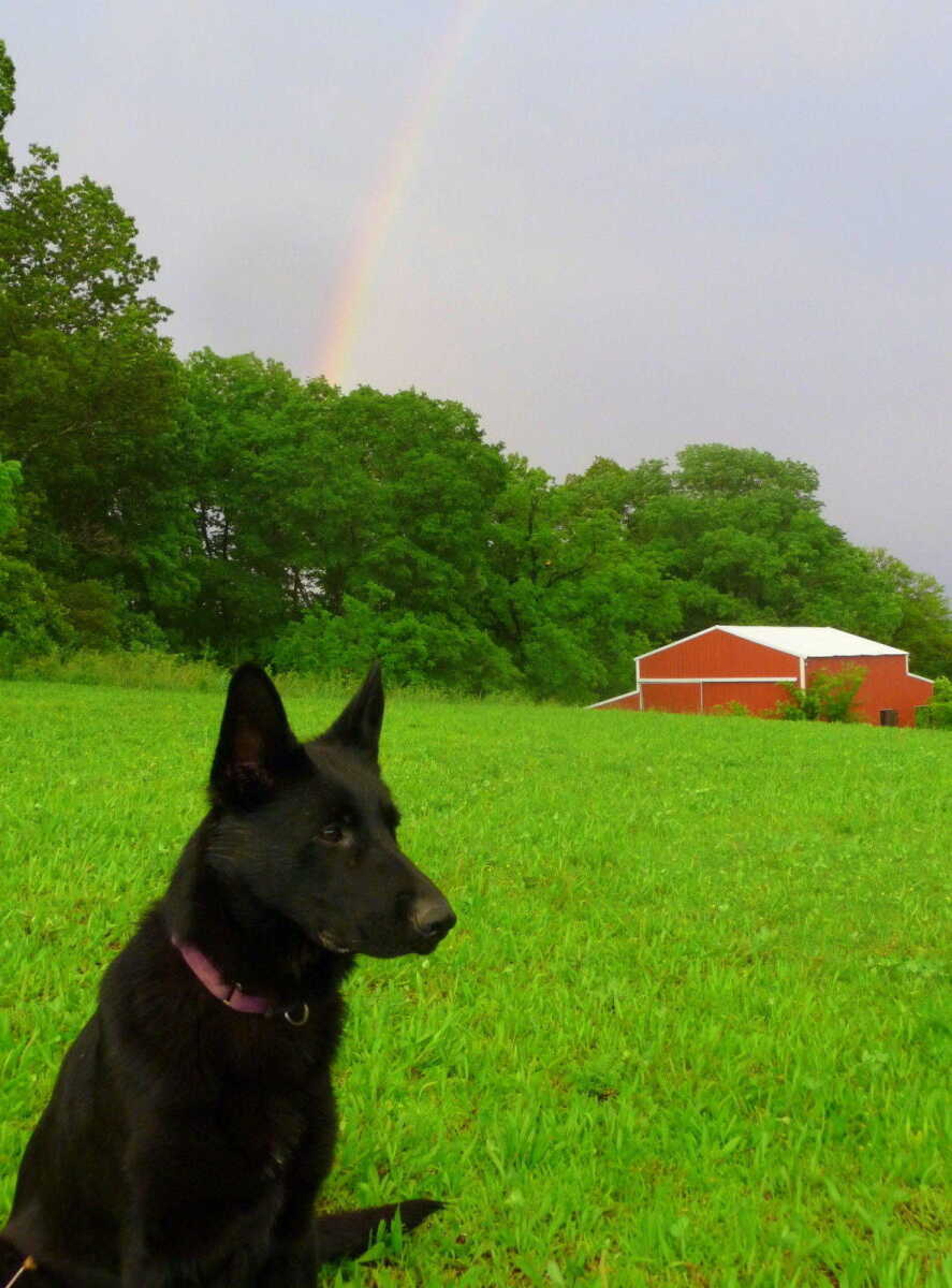 The End of the Rainbow