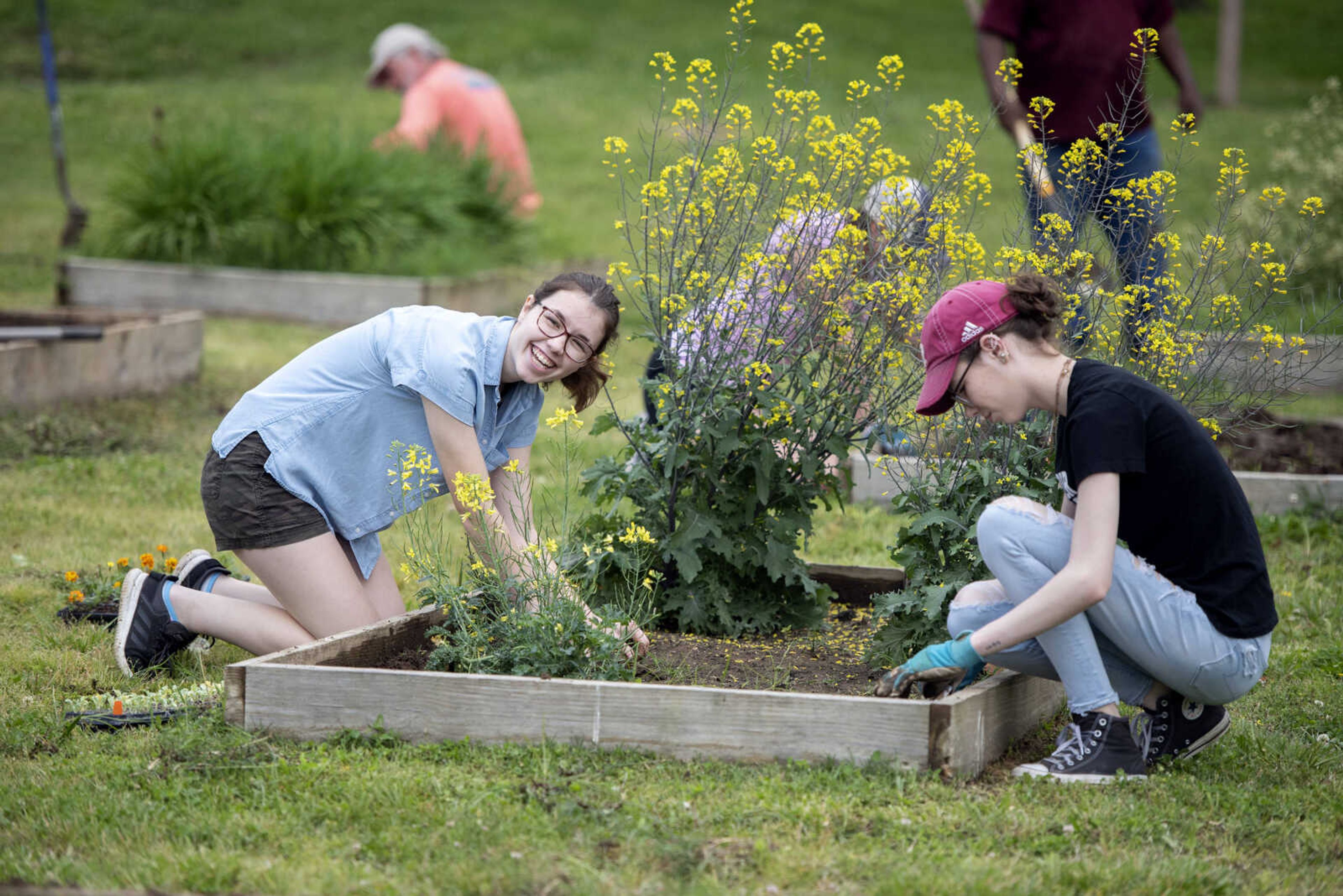 Community garden planting