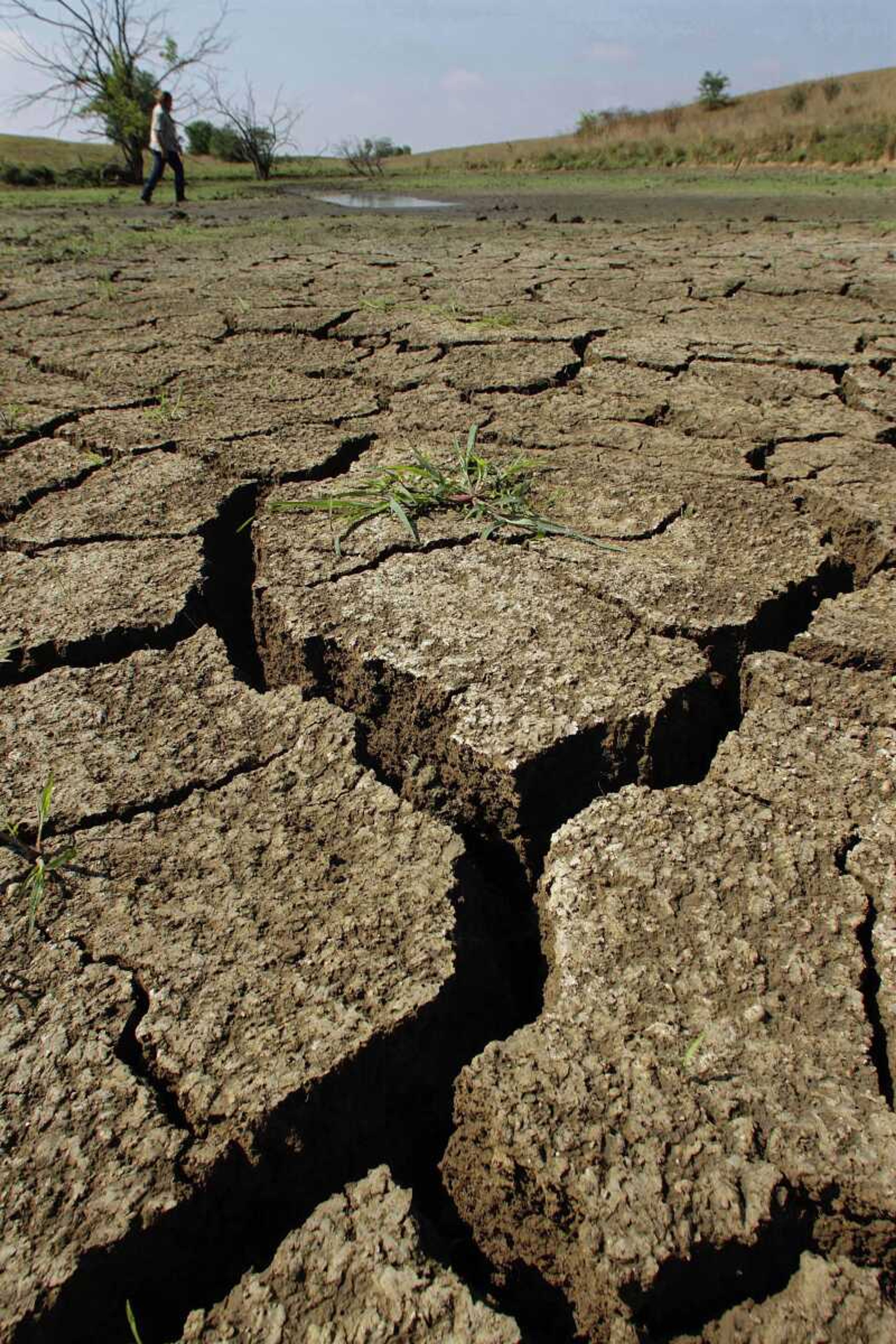 In this Aug. 3, 2012 in Tallula, Ill., Tony Frost of Frost Farms surveys a pond in the cattle pasture that serves as the water source for his cattle that has nearly dried up. The Plains states where the production of corn and soybeans is key are being hit harder by excessive drought conditions in the wake of the hottest month on record in the continental U.S., contributing to a surge in global food prices. (AP Photo/Seth Perlman)