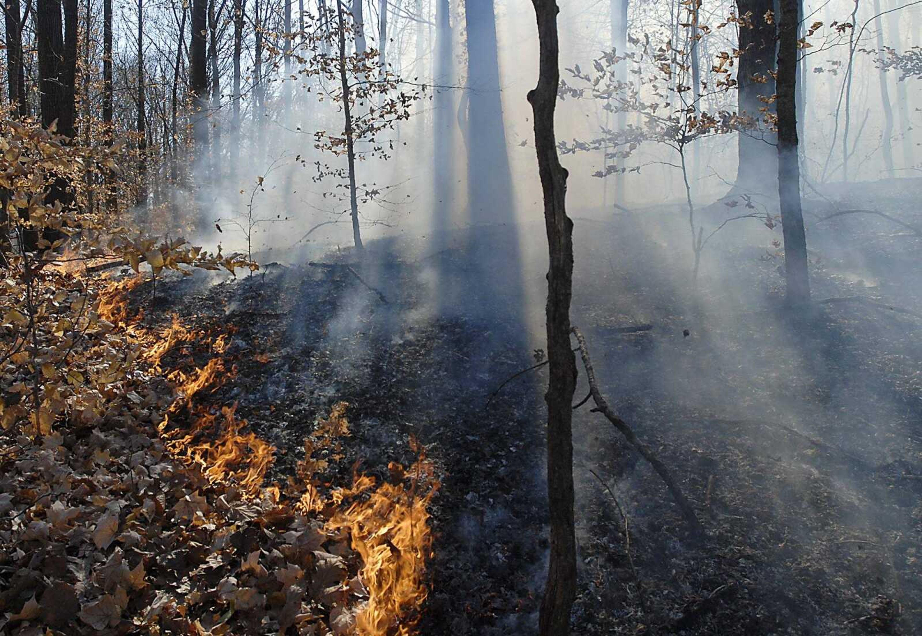 KIT DOYLE ~ kdoyle@semissourian.com
A brush fire Wednesday,  November 11, 2009, in the Juden Creek Conservation Area.  Assistant Chief Mark Hasheider called the five-acre burn suspicious with a similar burn occurring Tuesday evening in the same area.  The brush fire was in a remote location in difficult terrain for personnel and equipment to reach.