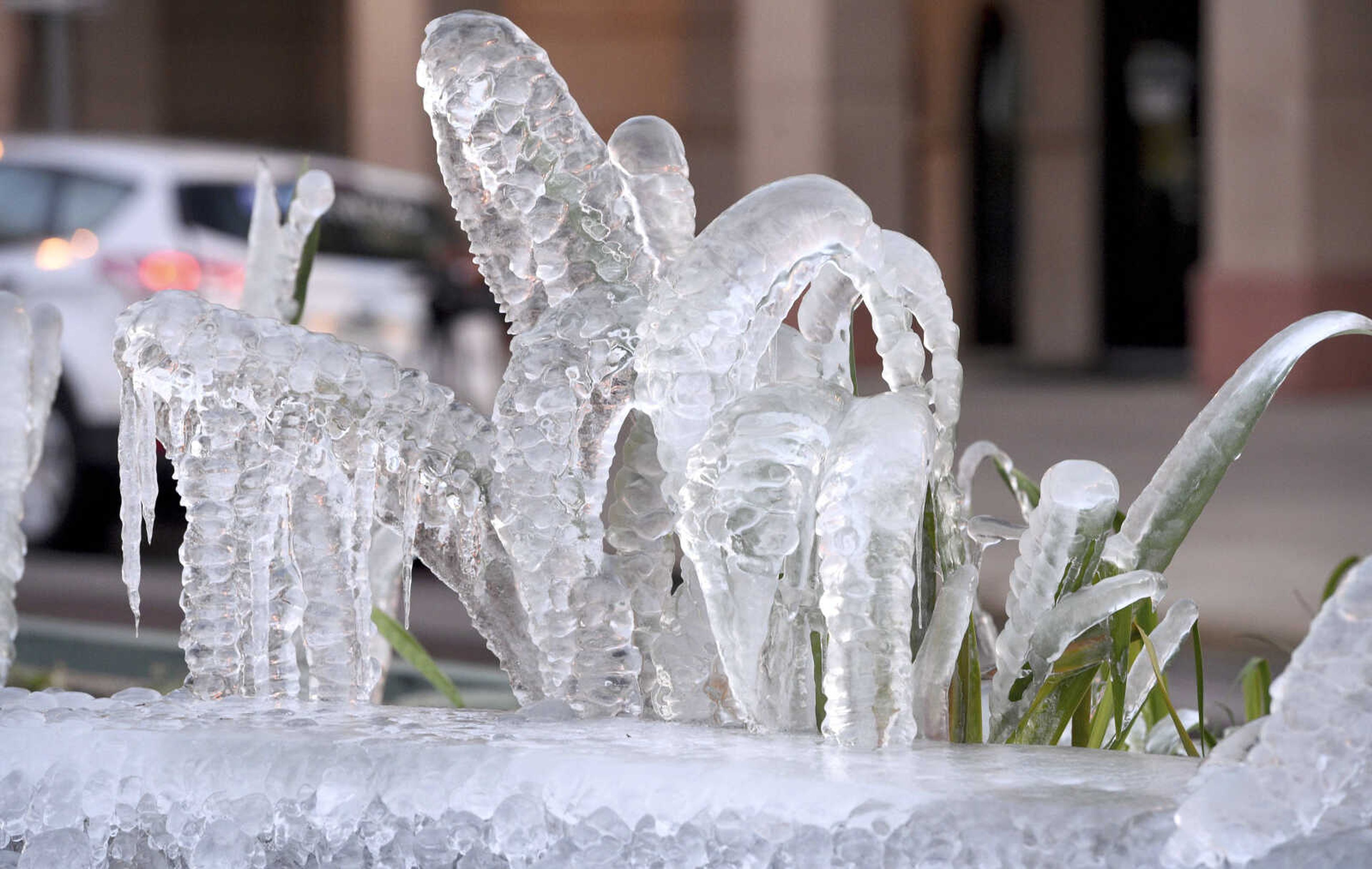 Plants near a fountain are covered in ice at the intersection of Broad and 9th Streets on Tuesday in Augusta, Georgia.