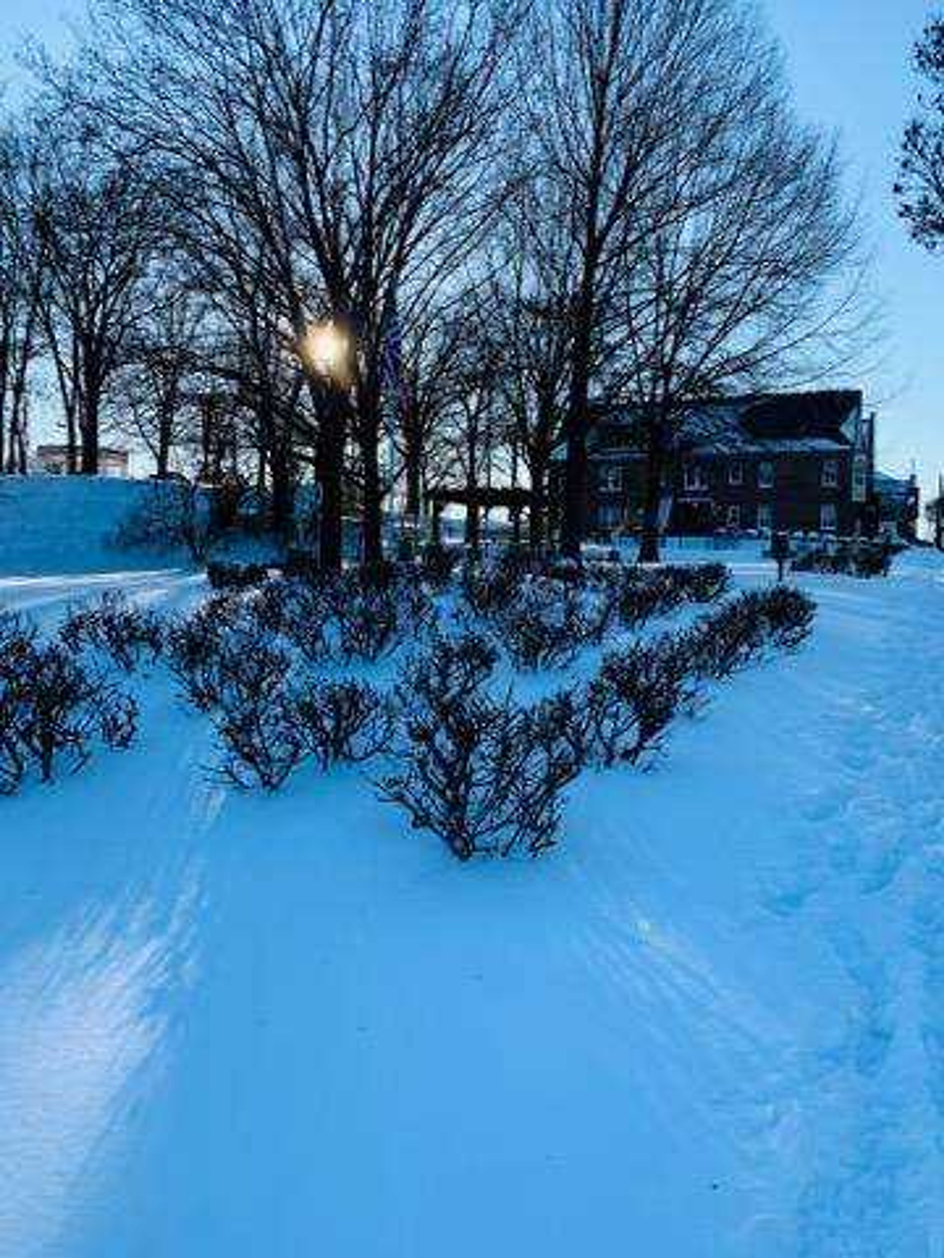 The sun falls behind trees on a cold, icy day in Downtown Cape Girardeau.