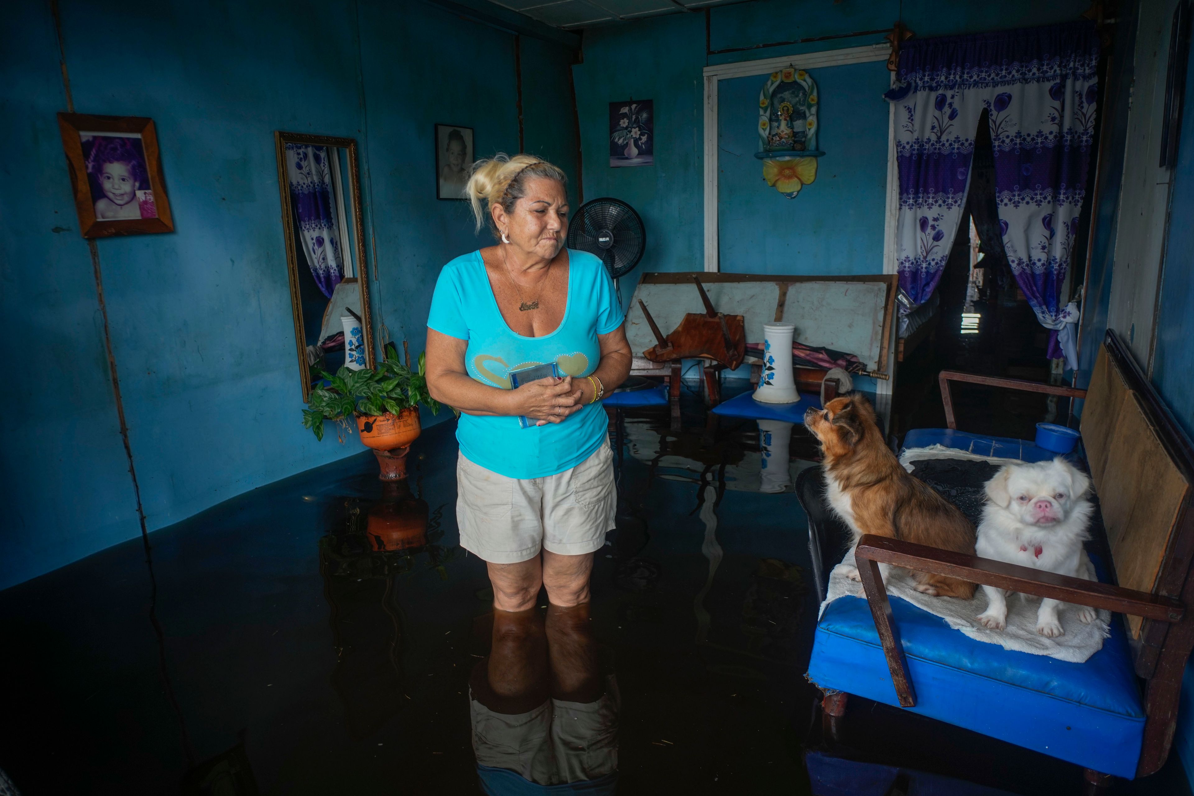 A woman looks at her dogs sitting on a sofa, as she stands inside her home that was flooded in the passing of Hurricane Helene, in Batabano, Mayabeque province, Cuba, Thursday, Sept. 26, 2024. (AP Photo/Ramon Espinosa)