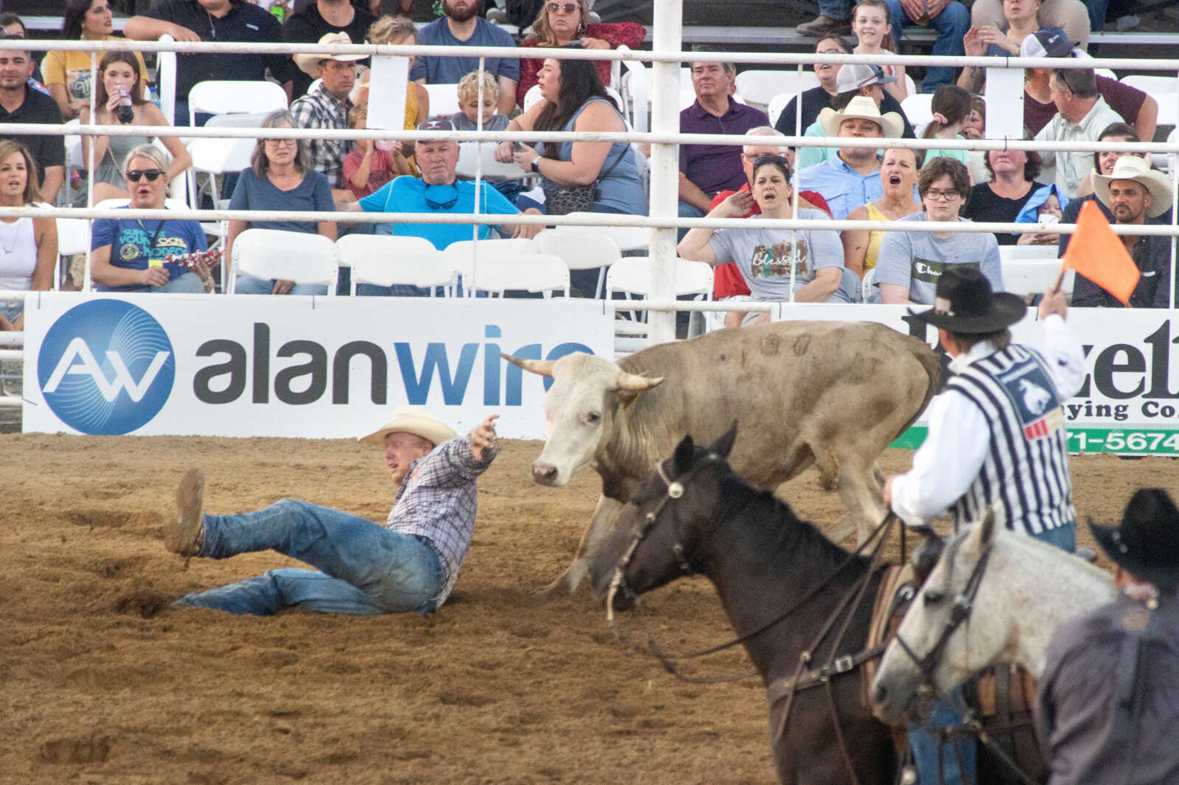 A performer loses his grip on his quarry during the Sikeston Jaycee Bootheel Rodeo on Thursday, Aug. 12, 2021, in Sikeston, Missouri.