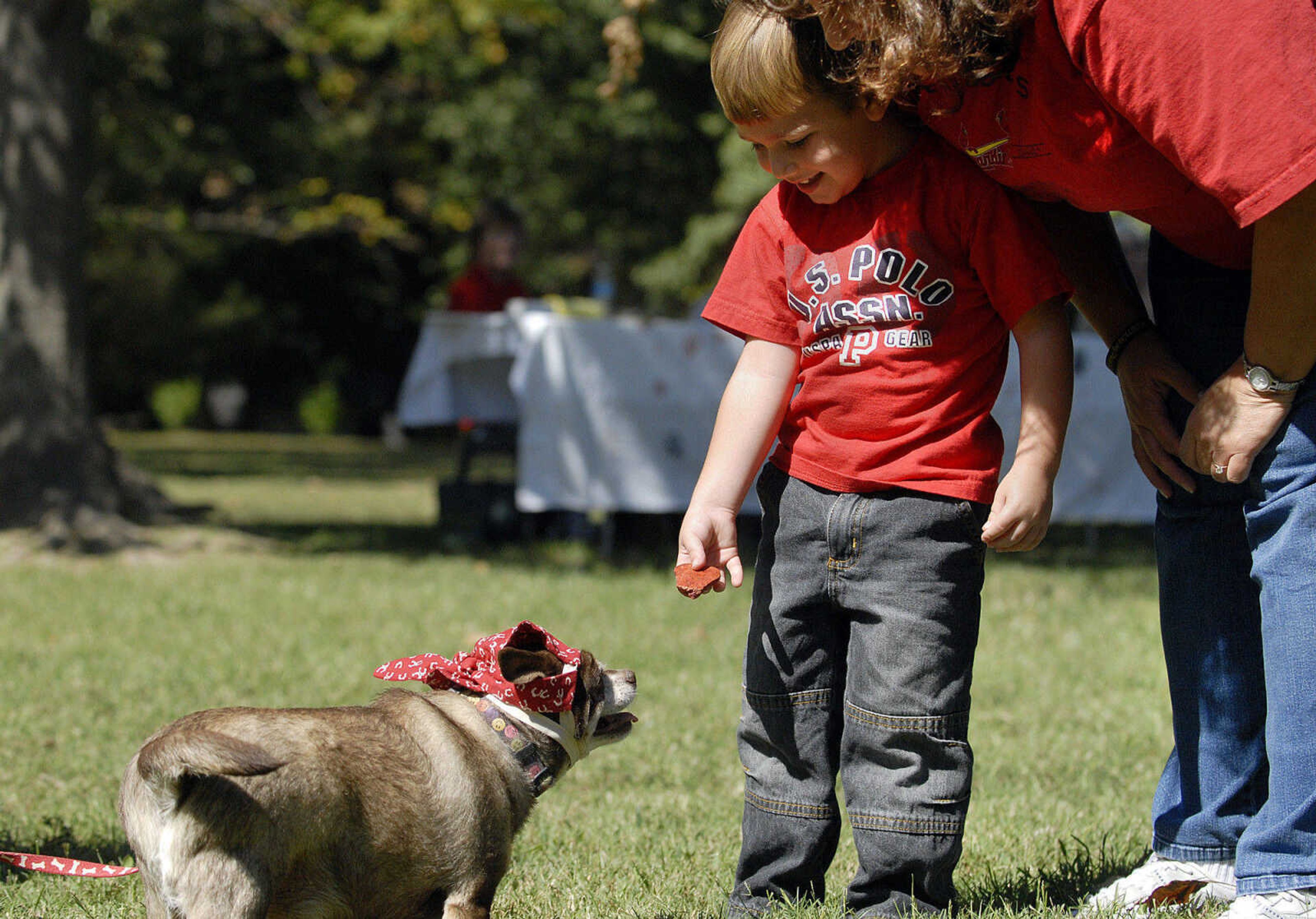 LAURA SIMON~lsimon@semissourian.com
Sue and Trenten Mardini attempt to bribe Laddie the chihuahua with a treat to get his tail wagging during the best tail wag competition Saturday, September 25, 2010 during Bark in the Park at Kiwanis Park in Cape Girardeau.