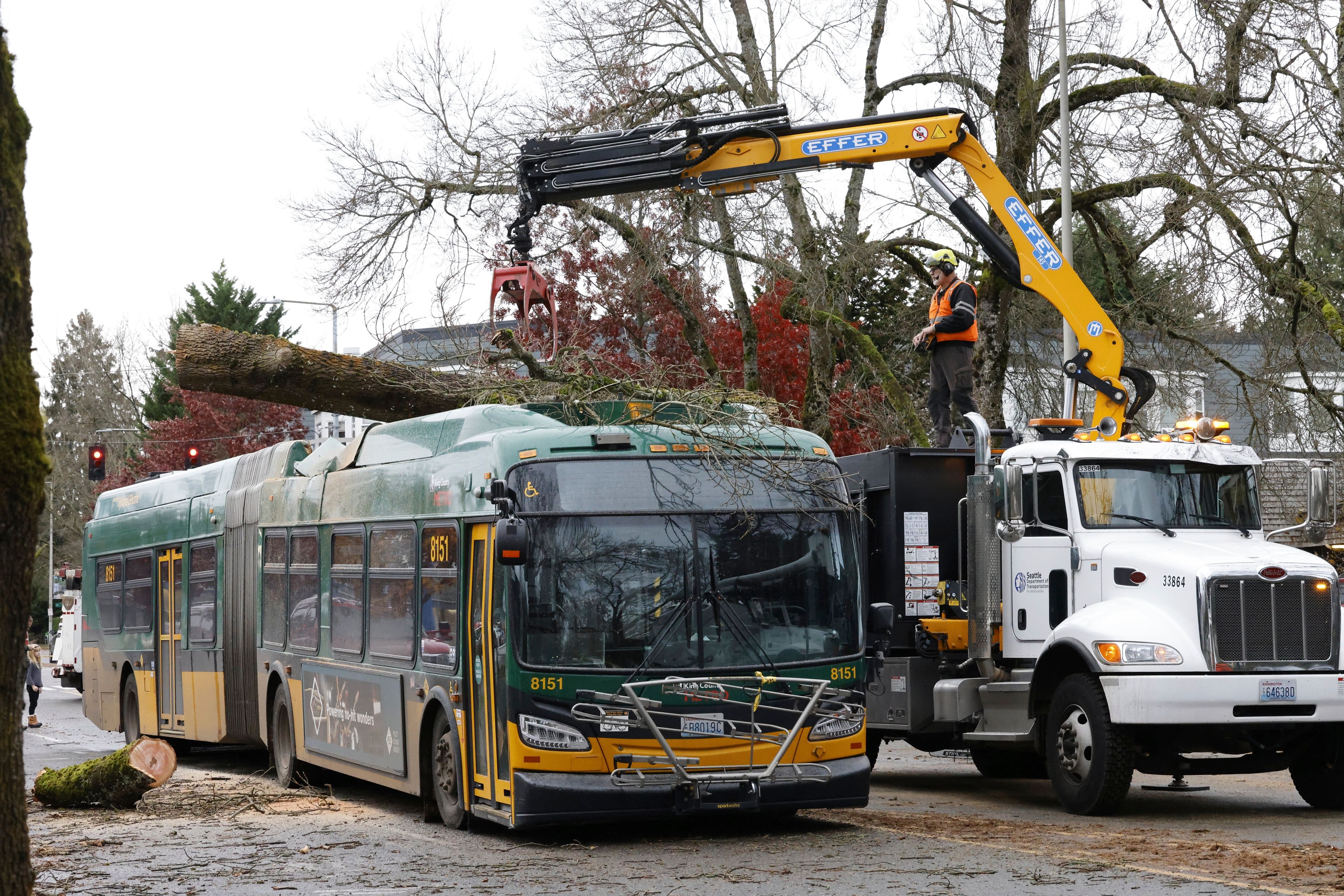 Seattle Metro bus has the remnants of a tree removed at 35th Ave. NE and NE 95th St. by Seattle Dept of Transportation in the aftermath of a "bomb cyclone" on NE 35th St. after severe weather hit last night, in Seattle, Wednesday, Nov. 20, 2024. (Karen Ducey/The Seattle Times via AP)