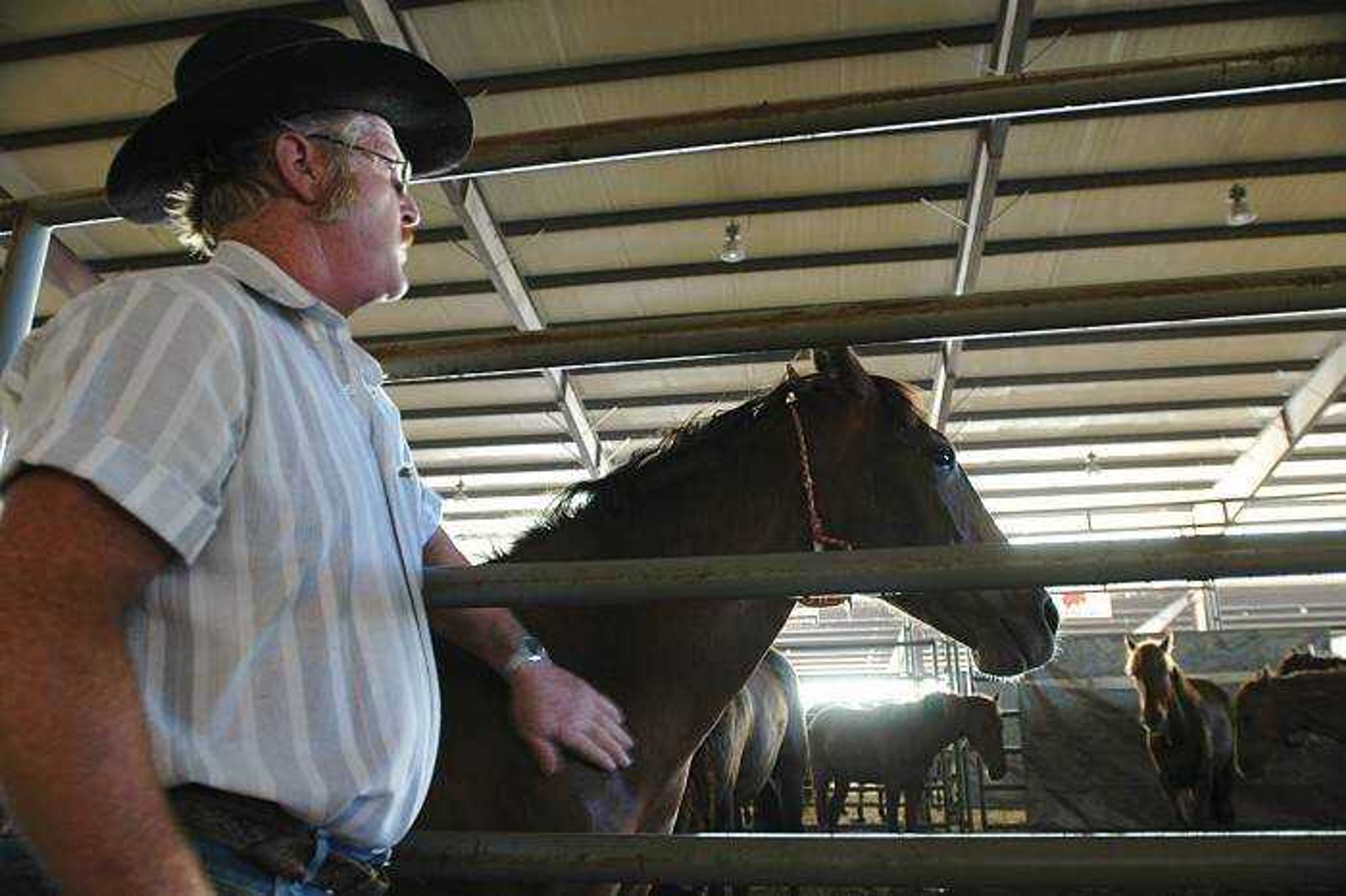 Low turnout for annual wild horse, burro adoption