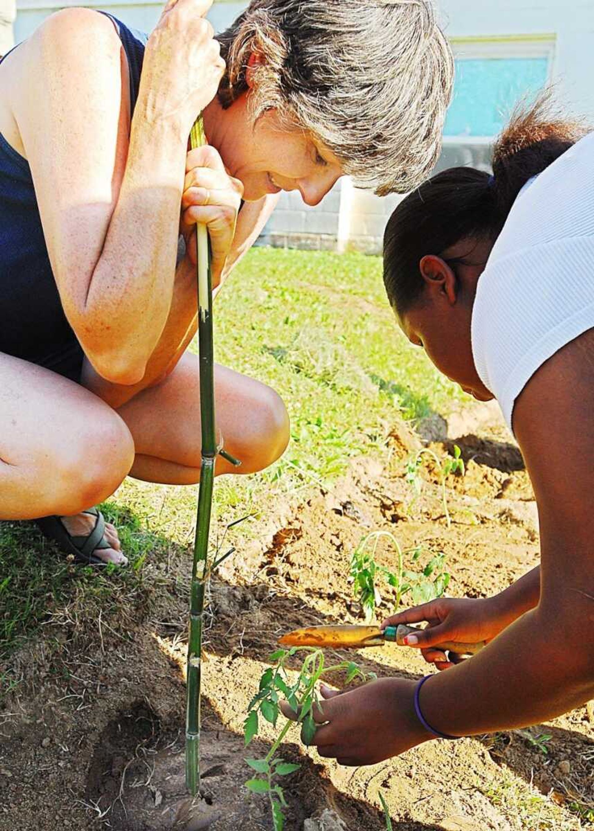 Mary Maginel forced a bamboo stake into the ground as Takeesha Sessoms, 15, filled in more soil around a tomato plant. (AARON EISENHAUER ~aeisenhauer@semissourian.com)