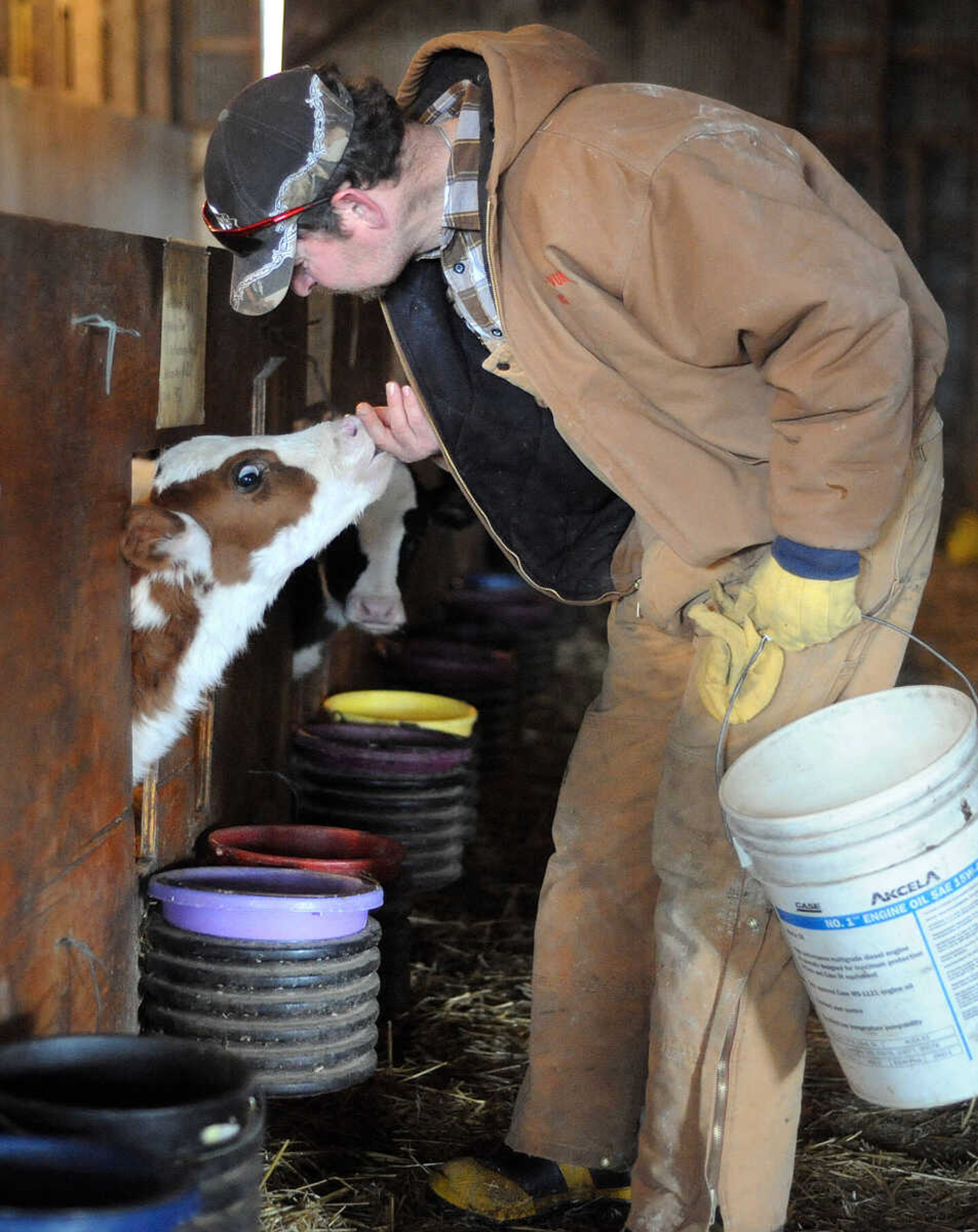 LAURA SIMON ~ lsimon@semissourian.com

Jerry Siemers visits with one of many calves at his Cape Girardeau dairy farm, Tuesday, March 4, 2014.