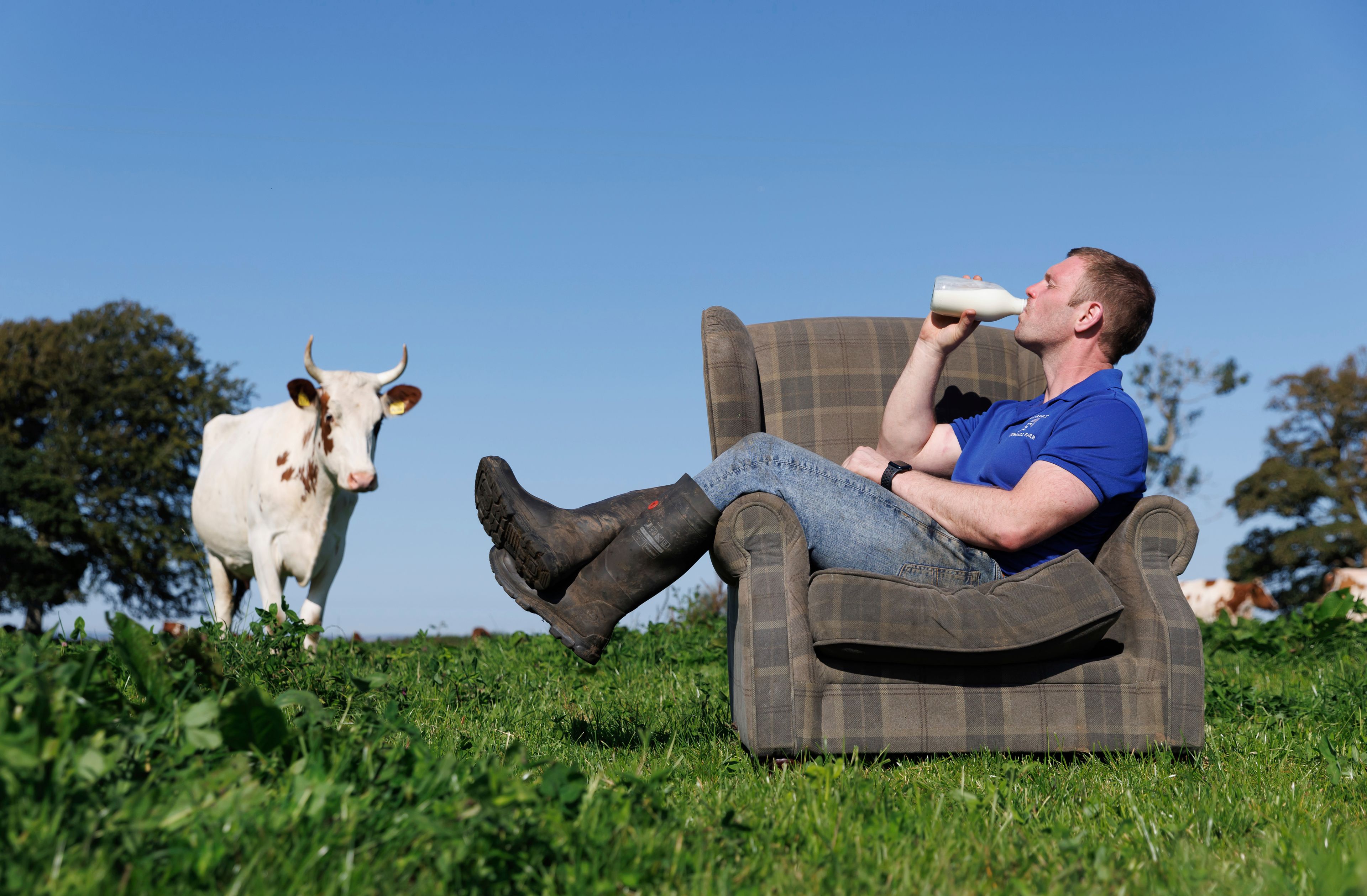 This undated handout photo shows Bryce Cunningham, farmer and owner of Mossgiel Organic Farm near Mauchline, as he poses drinking milk in a field with some of his herd of Ayrshire cows at Mossgiel Organic Farm, Mauchline, Scotland. (Mossgiel Organic Dairy via AP)