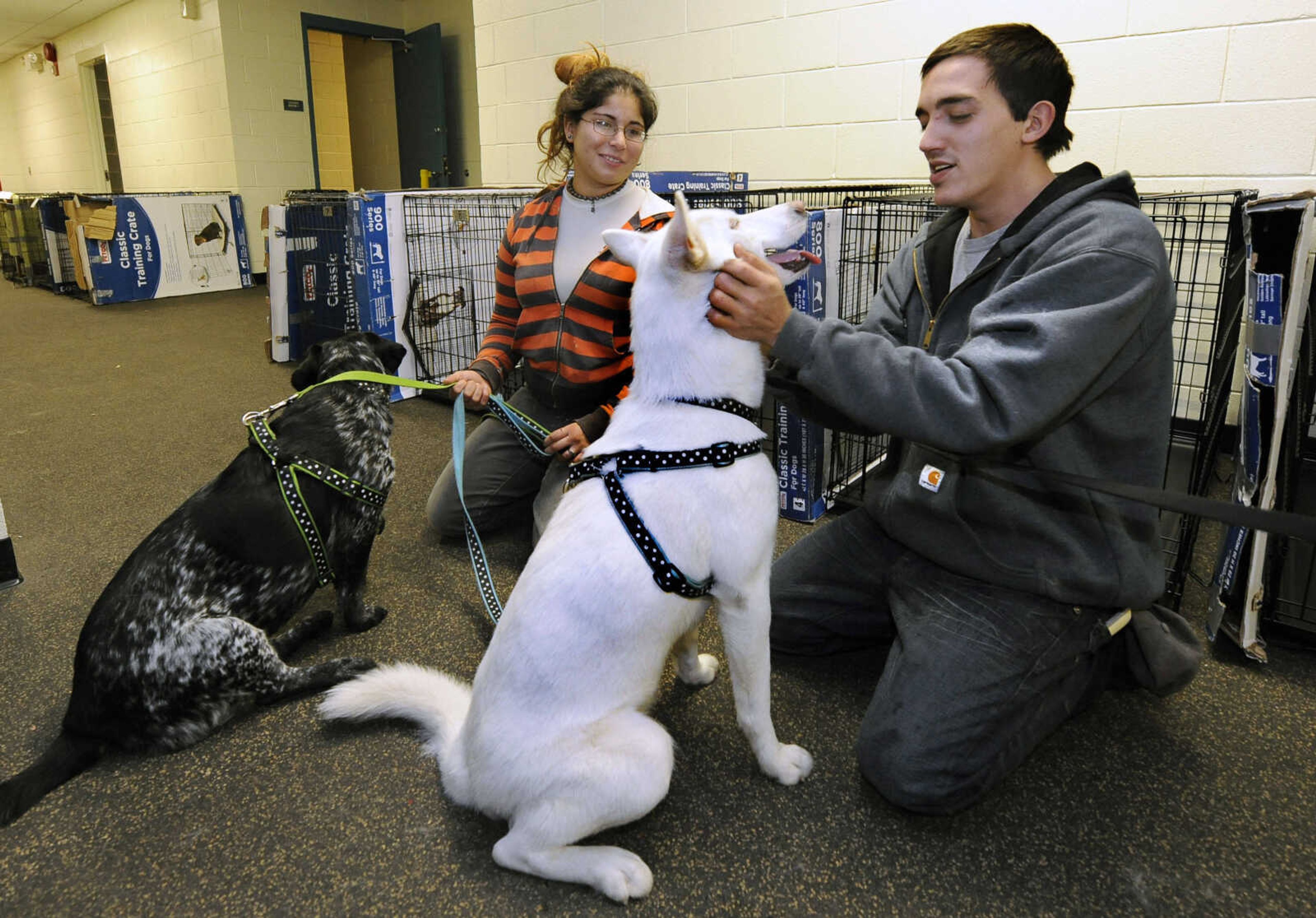 Sarah Korman and Michael Cunba, who evacuated their home in Long Beach, N.Y., bring their dogs Jade, left, and Ava to a pet shelter at Mitchell Park's Field House, run by the Nassau County Office of Emergency Management and Pet Safe Coalition on Sunday, Oct., 28, 2012, in Uniondale, N.Y. Pet owners could drop of their pets at the shelter and then seek shelter for themselves before the arrival of Hurricane Sandy. (AP Photo/Kathy Kmonicek)