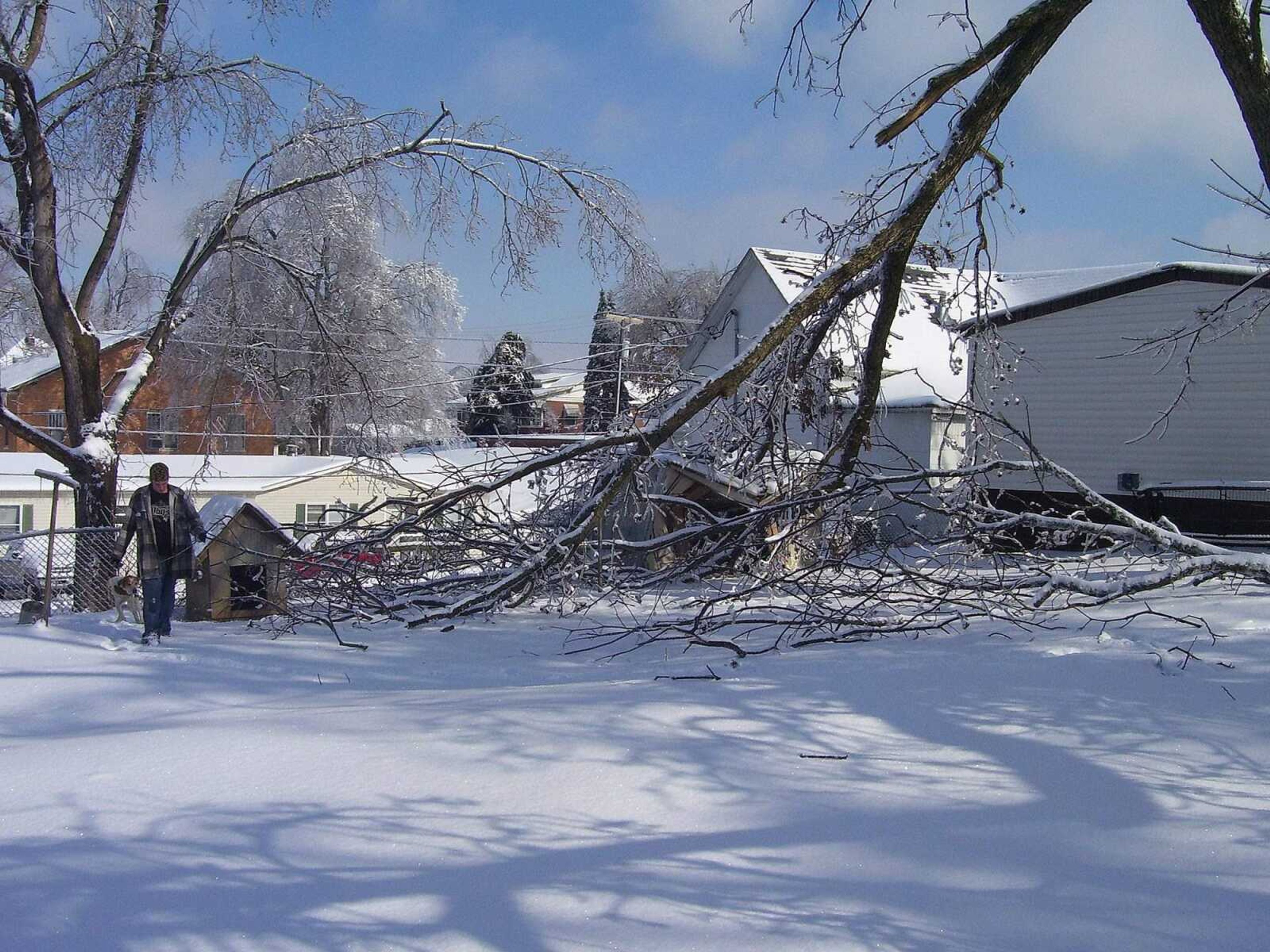 MATT SANDERS ~ msanders@semissourian.com
 Anthony Bundy works to clear a fallen tree from his yard on Fourth Street East in the Old Illmo section of Scott City.