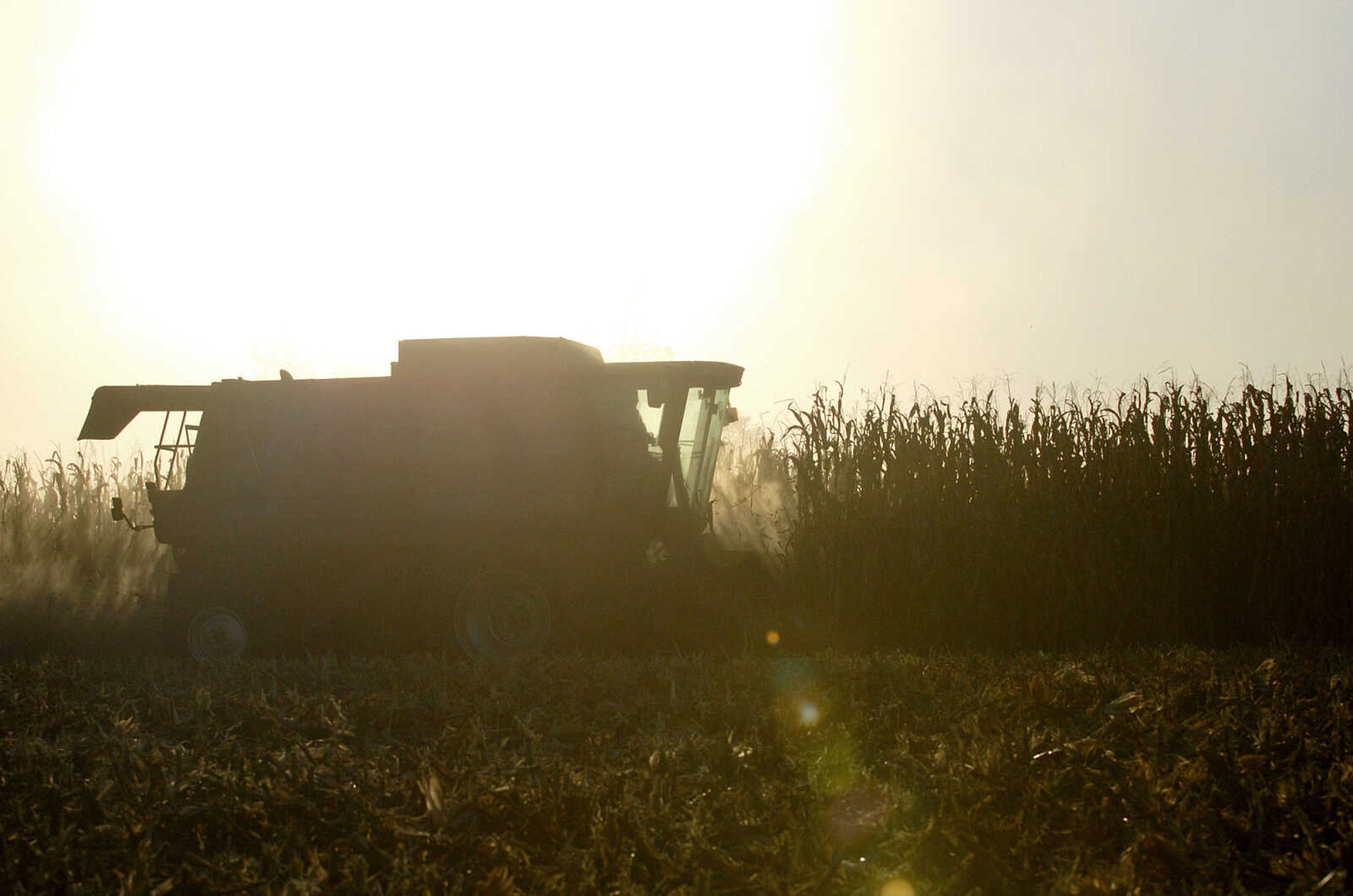 LAURA SIMON ~ lsimon@semissourian.com
Dust billows around Frank Milde of Milde Farms Inc. as he harvests a field of corn using a Model 2388 International combine eight row corn head Tuesday, October 4, 2011 near Jackson, Mo.