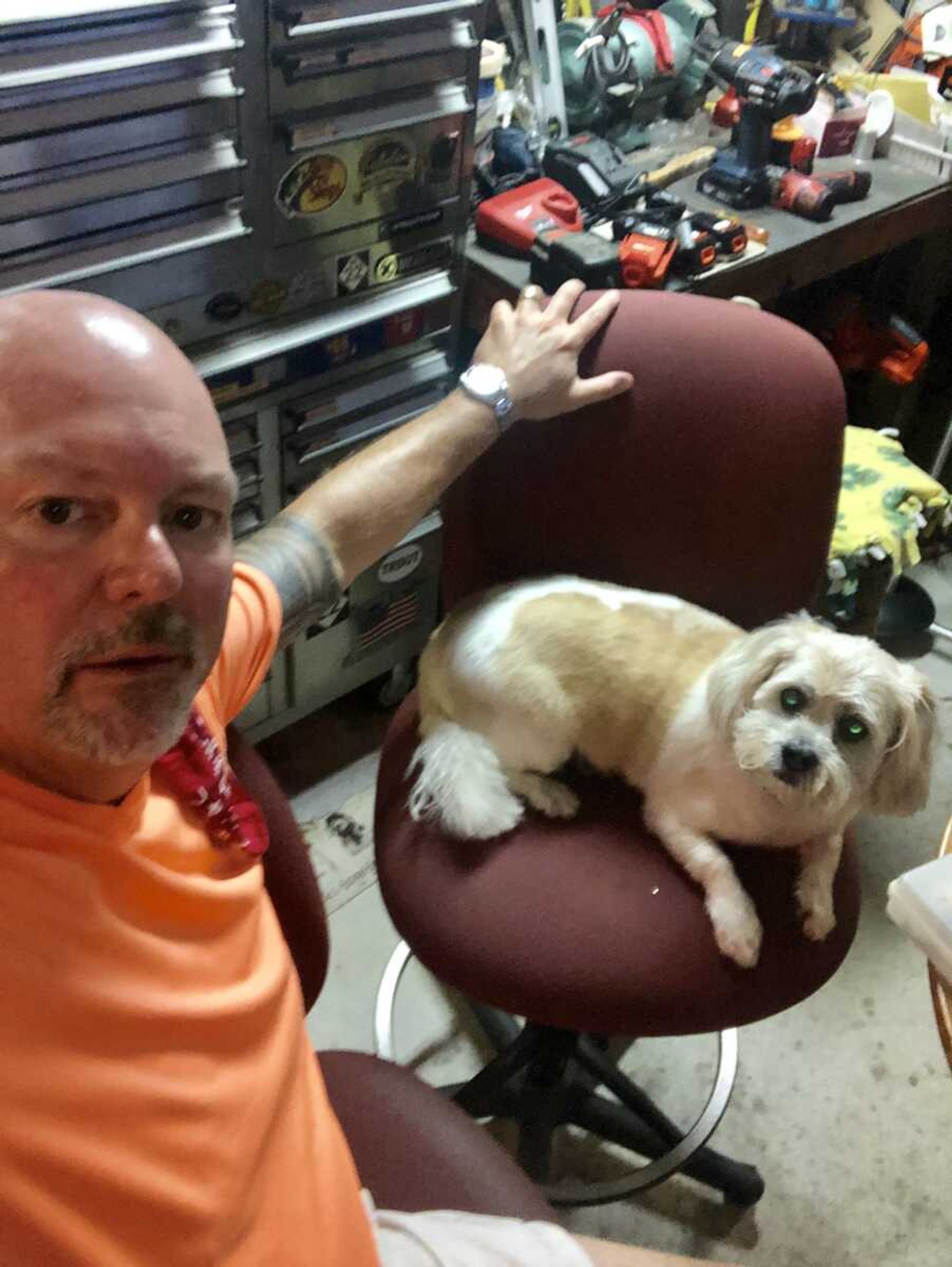 Former Cape Girardeau Mayor Jay B. Knudtson is seen with the family dog, Bella.