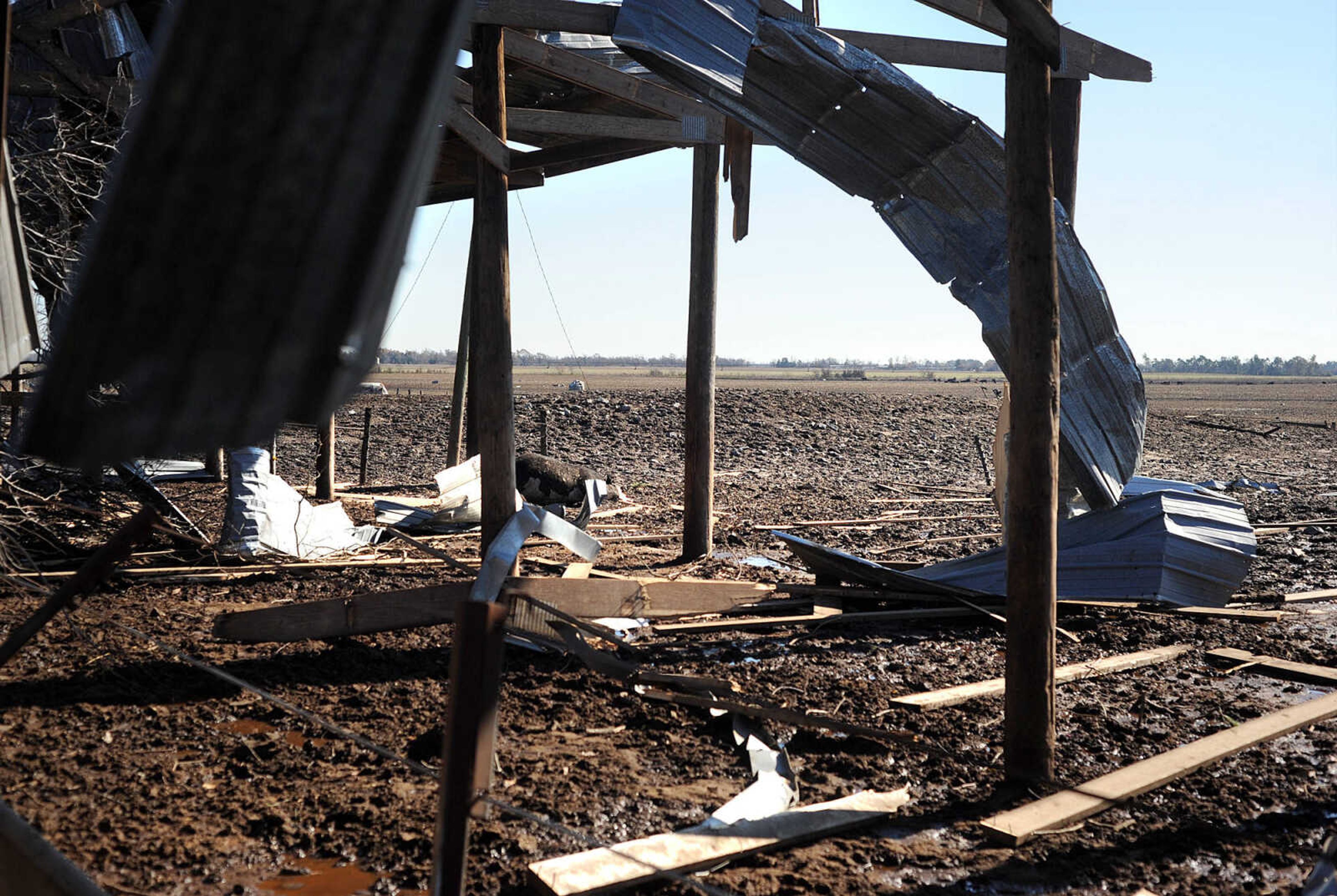 LAURA SIMON ~ lsimon@semissourian.com

Cleanup efforts from Sunday's storm are underway at Vince Draper's cattle farm, Monday, Nov. 18, 2013, southeast of Morley, Mo.