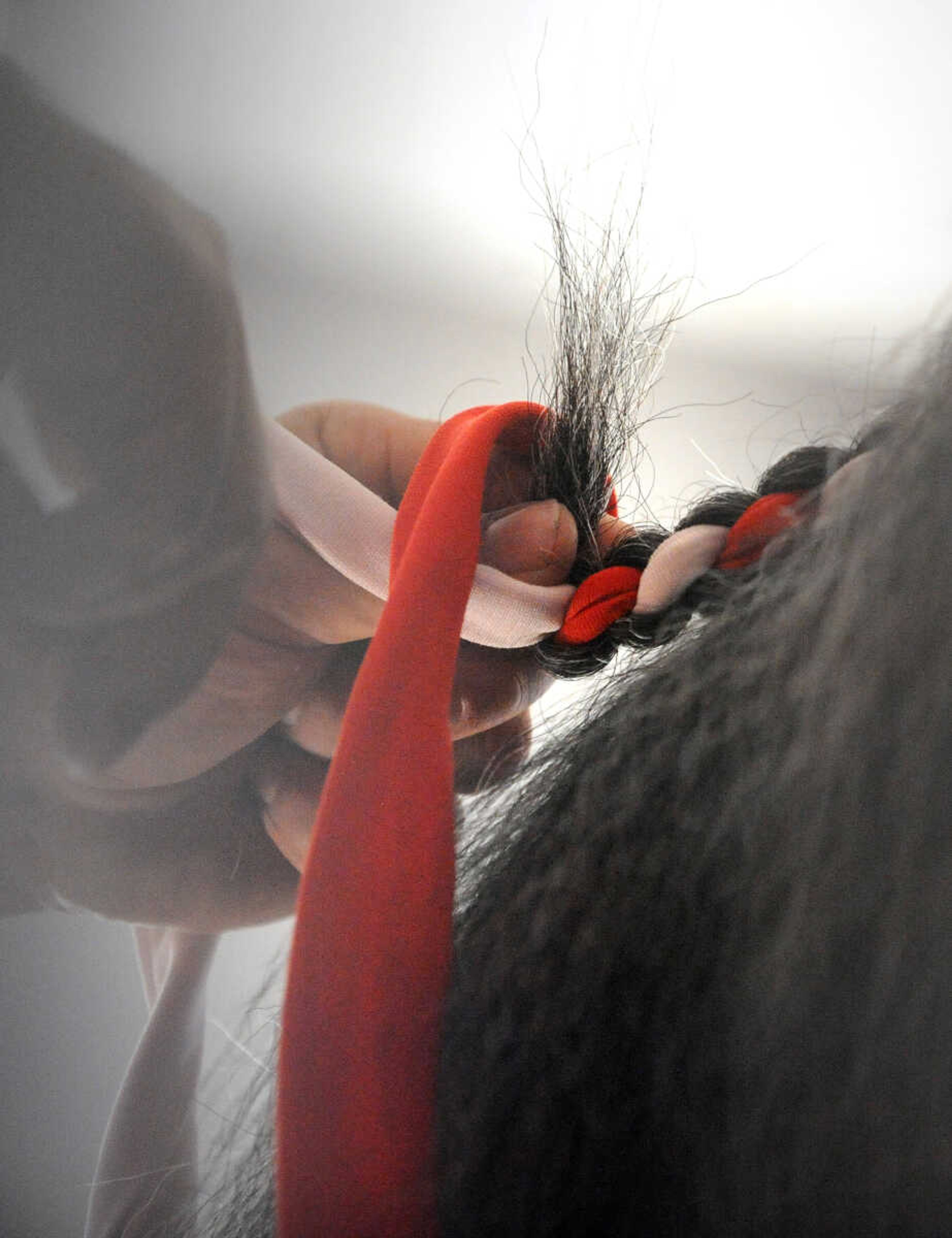 LAURA SIMON ~ lsimon@semissourian.com

The Budweiser Clydesdales get prepared for their demonstration at The Hope Theraputic Horsemanship Center in Perryville, Missouri, Friday, June 20, 2014.