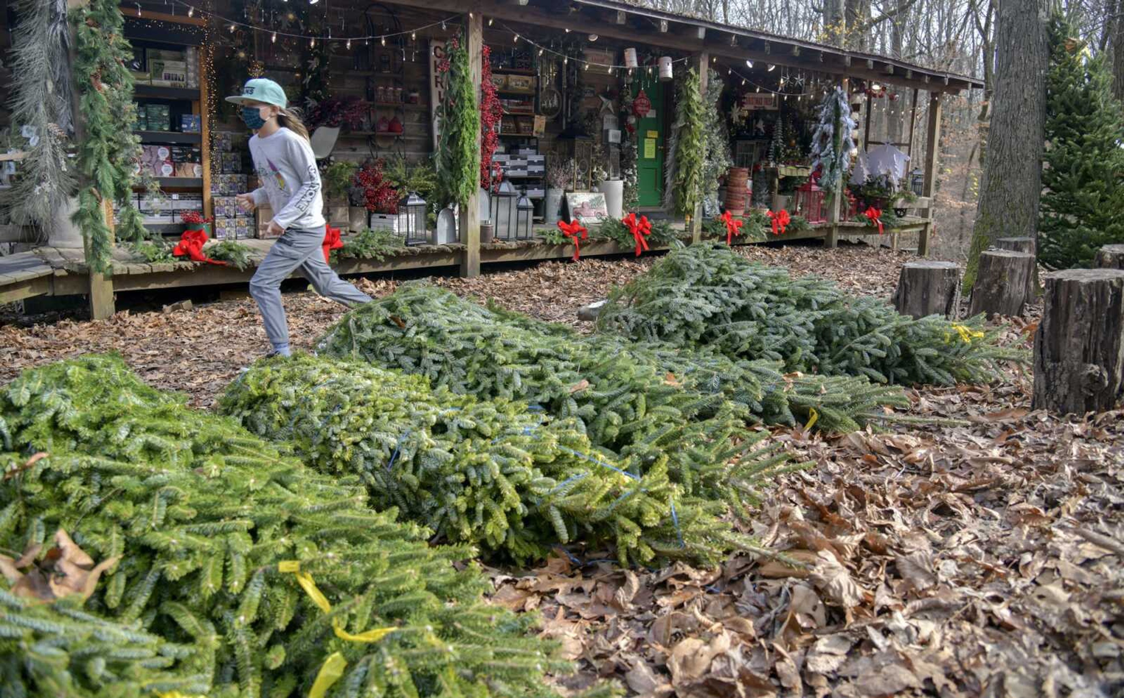 A customer moves past trees for sale at the Yule Log Cabin Christmas store in Scott County, Nov. 27, 2020.