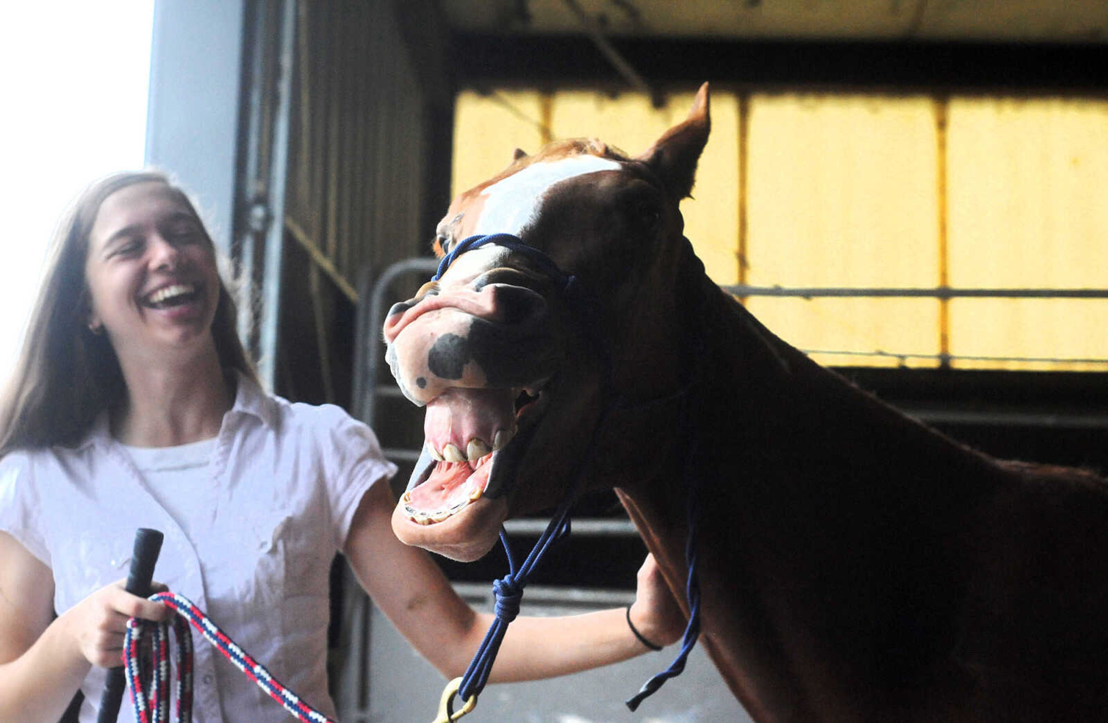 LAURA SIMON ~ lsimon@semissourian.com

Allison Elfrink and her wild mustang, Chico, at Flickerwood Arena in Jackson, Missouri, Wednesday, Aug. 5, 2015.