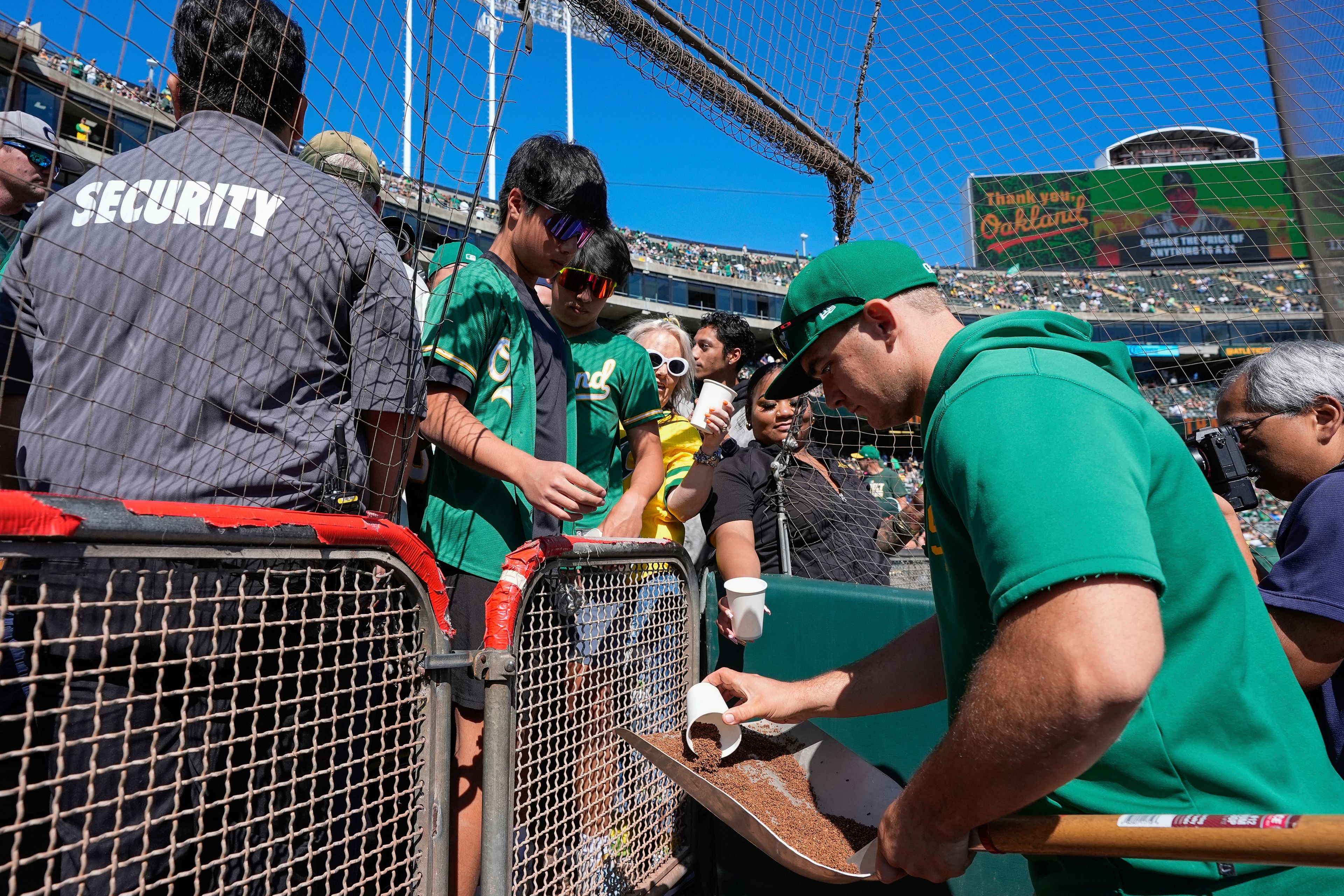 Oakland Athletics groundskeeper Jack Tanner, right, fills up cups with dirt for fans before a baseball game against the Texas Rangers, Thursday, Sept. 26, 2024, in Oakland, Calif. (AP Photo/Godofredo A. Vásquez)