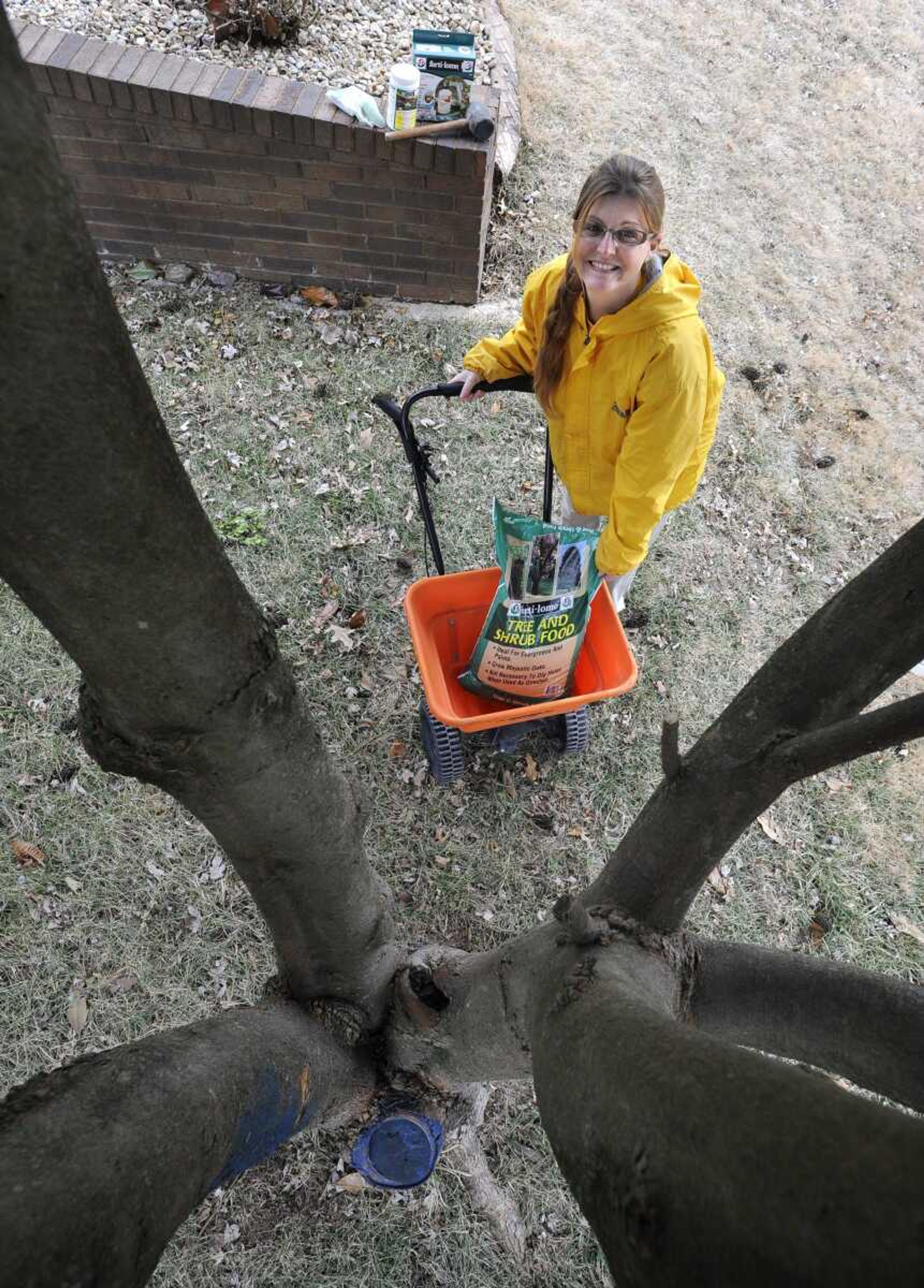 Melissa LaPlant shows the best way to fertilize a tree by using a spreader to apply tree and shrub fertilizer beneath the tree's canopy. The next-best way is to drive fertilizer spikes into the ground around the tree. (Fred Lynch)