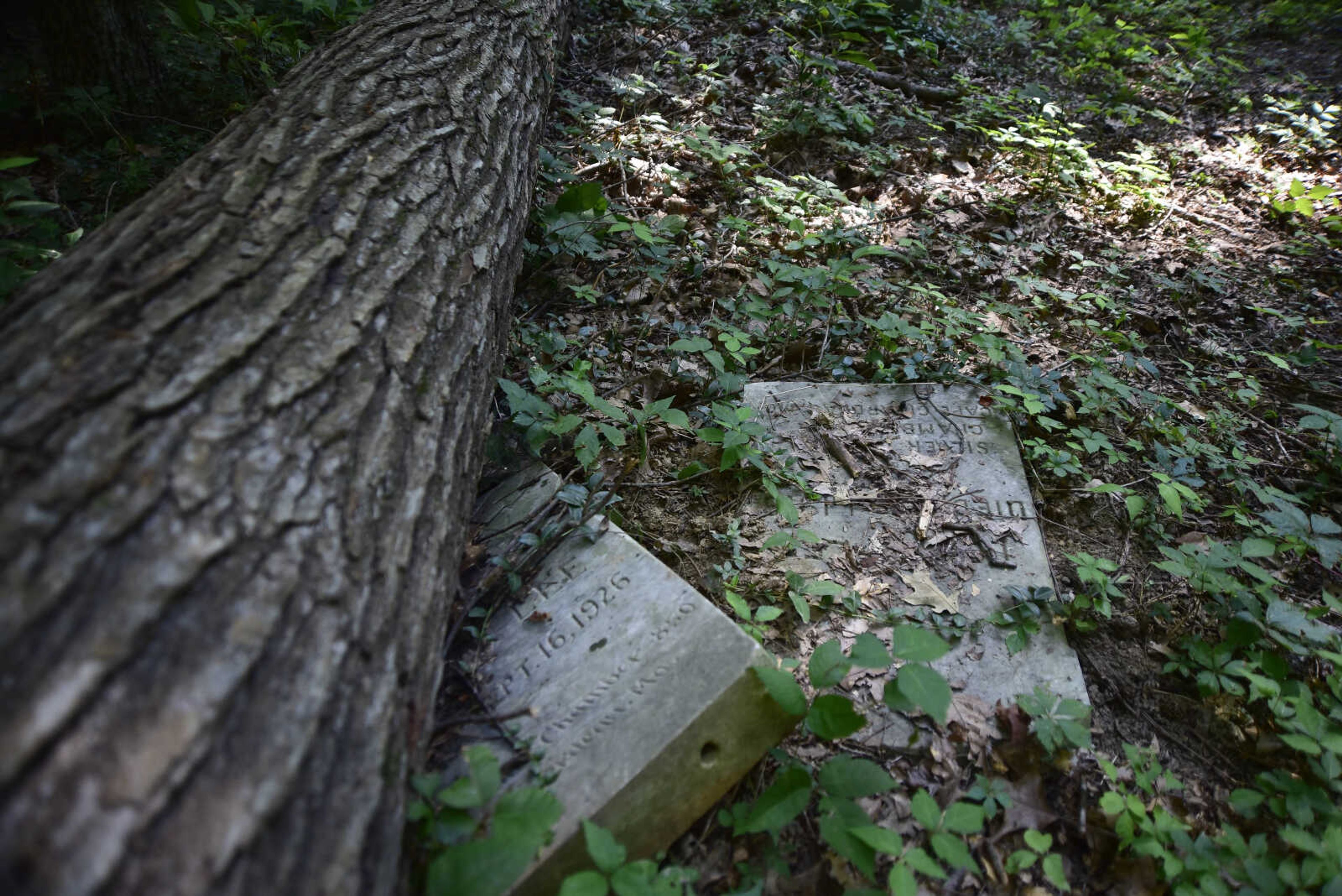 Tombstones lay underneath a fallen tree at Shady Grove Cemetery Friday, July 21, 2017 in Dutchtown