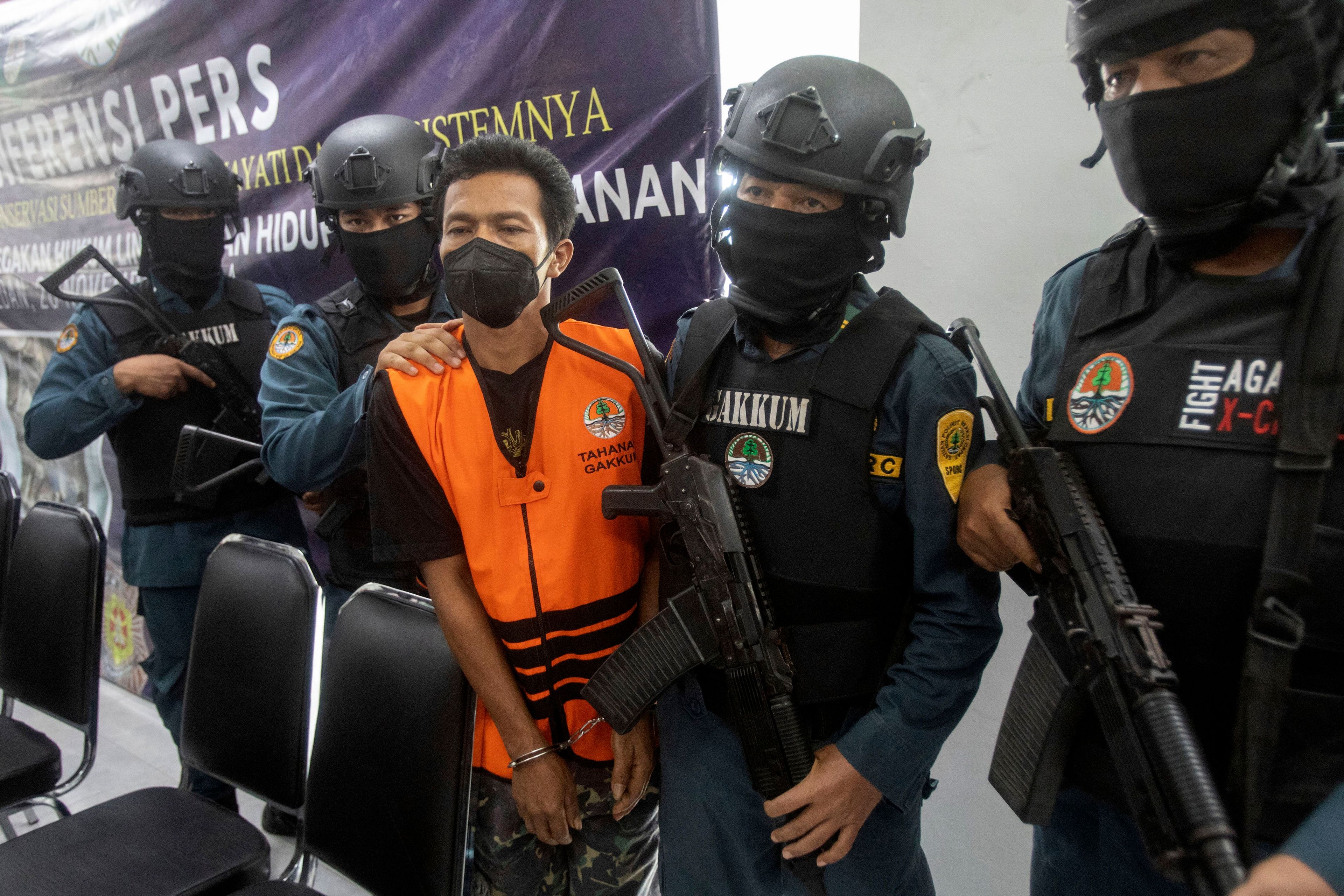 Forest rangers escort a suspected wildlife smugglers during a press conference in Medan, North Sumatra, Indonesia, Tuesday, Nov. 26, 2024. (AP Photo/Binsar Bakkara)