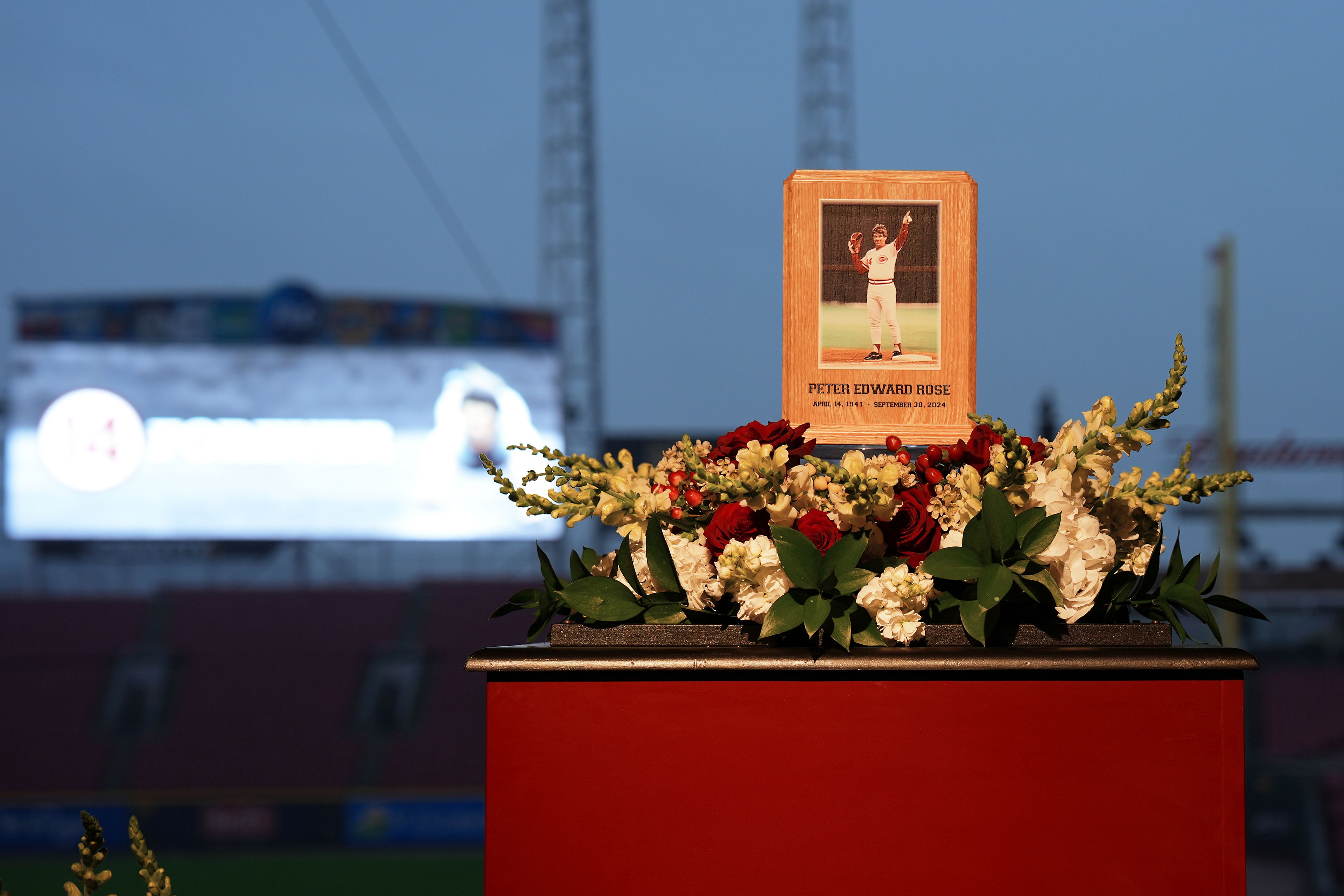 Baseball fans line up to pay their respects to Cincinnati Reds legend Pete Rose during a public visitation, Sunday, Nov. 10, 2024, at Great American Ball Park in Cincinnati. (AP Photo/Kareem Elgazzar)