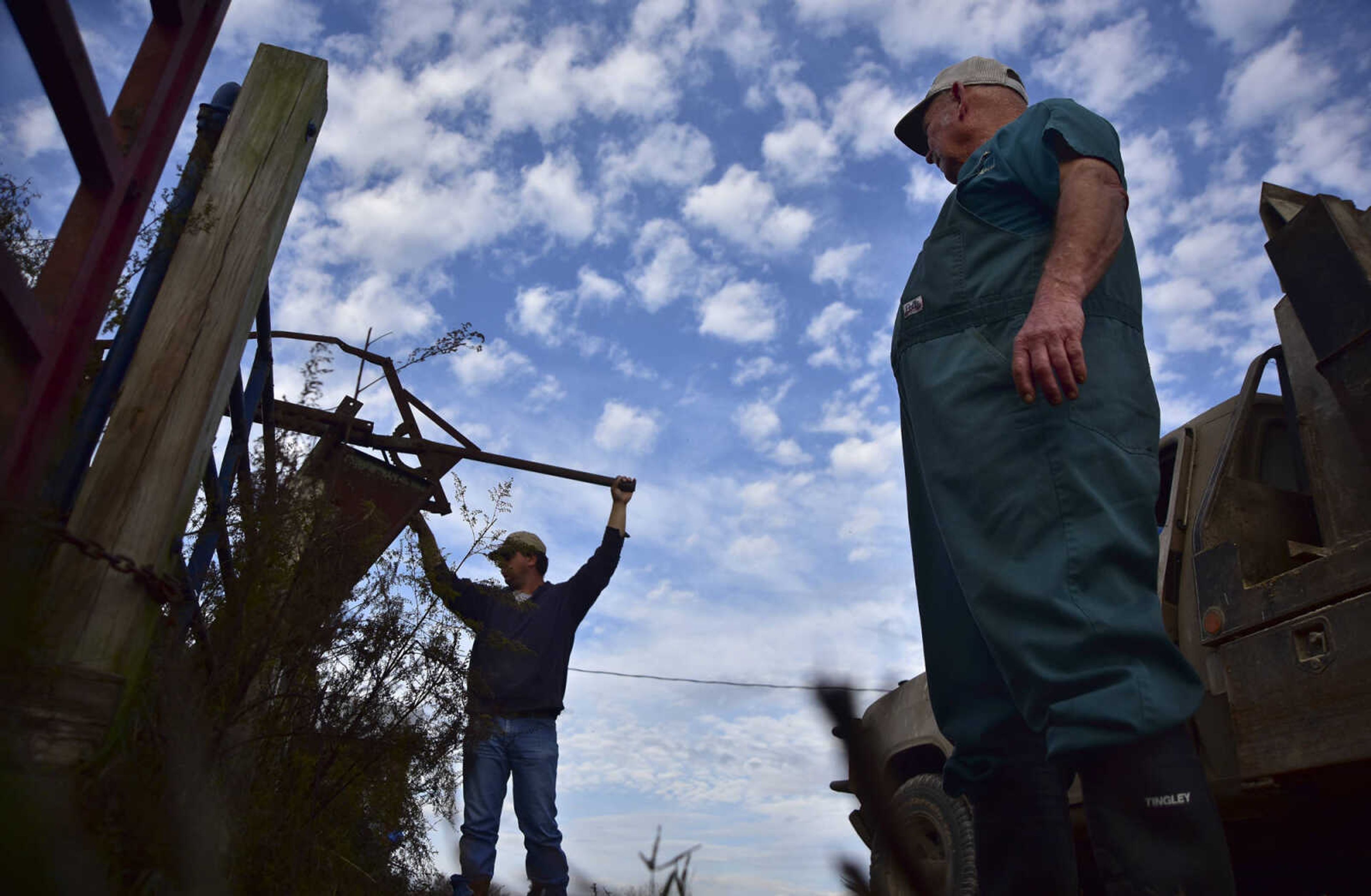 ANDREW J. WHITAKER ~ awhitaker@semissourian.com
Joey Rubel, left, guides cattle to get a blood sample by Dr. Walter Branscum, right, to test for Brucellosis a bacterial infection that can be spread from animas to humans Wednesday, Nov. 2, 2016 at Butch's Angus farm in Jackson. Dr. Branscum a Veterinary physician in Jackson cares for smaller animals along with larger animals like cattle and horses.