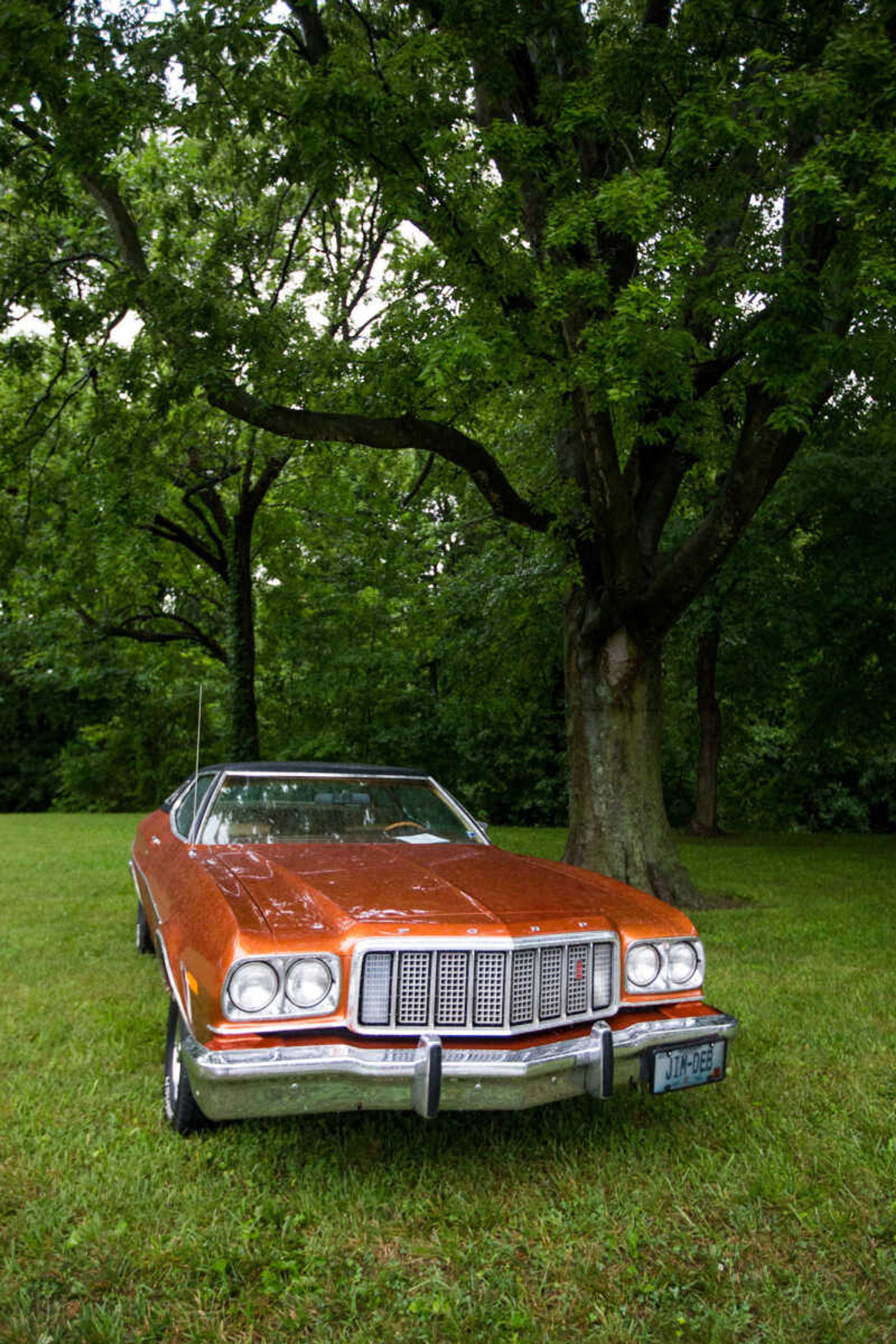 GLENN LANDBERG ~ glandberg@semissourian.com

The car show during the Jackson Fourth of July celebration Monday, July 4, 2016 at Jackson City Park.