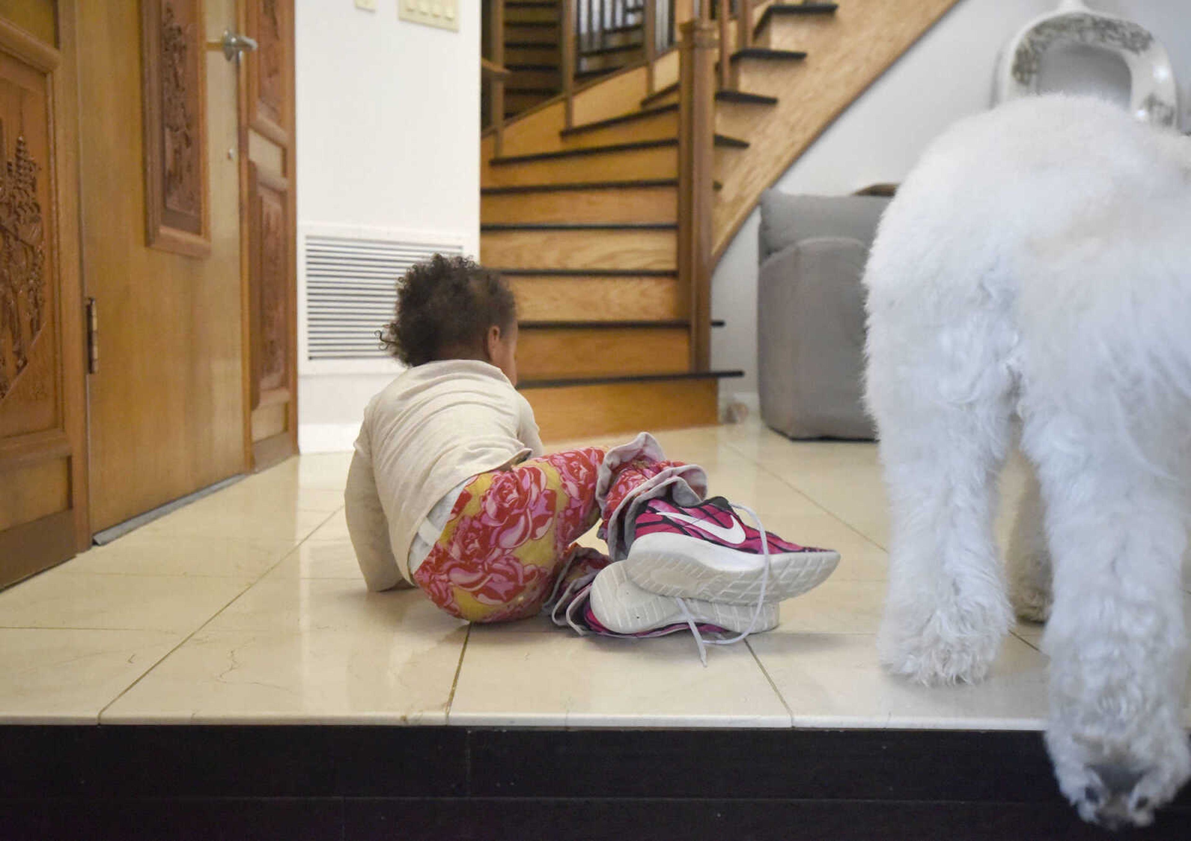 Lennyx Becking, 1, tries on her mother's shoes  next to Marley on Saturday, Jan. 28, 2017, at the Becking's Cape Girardeau home.