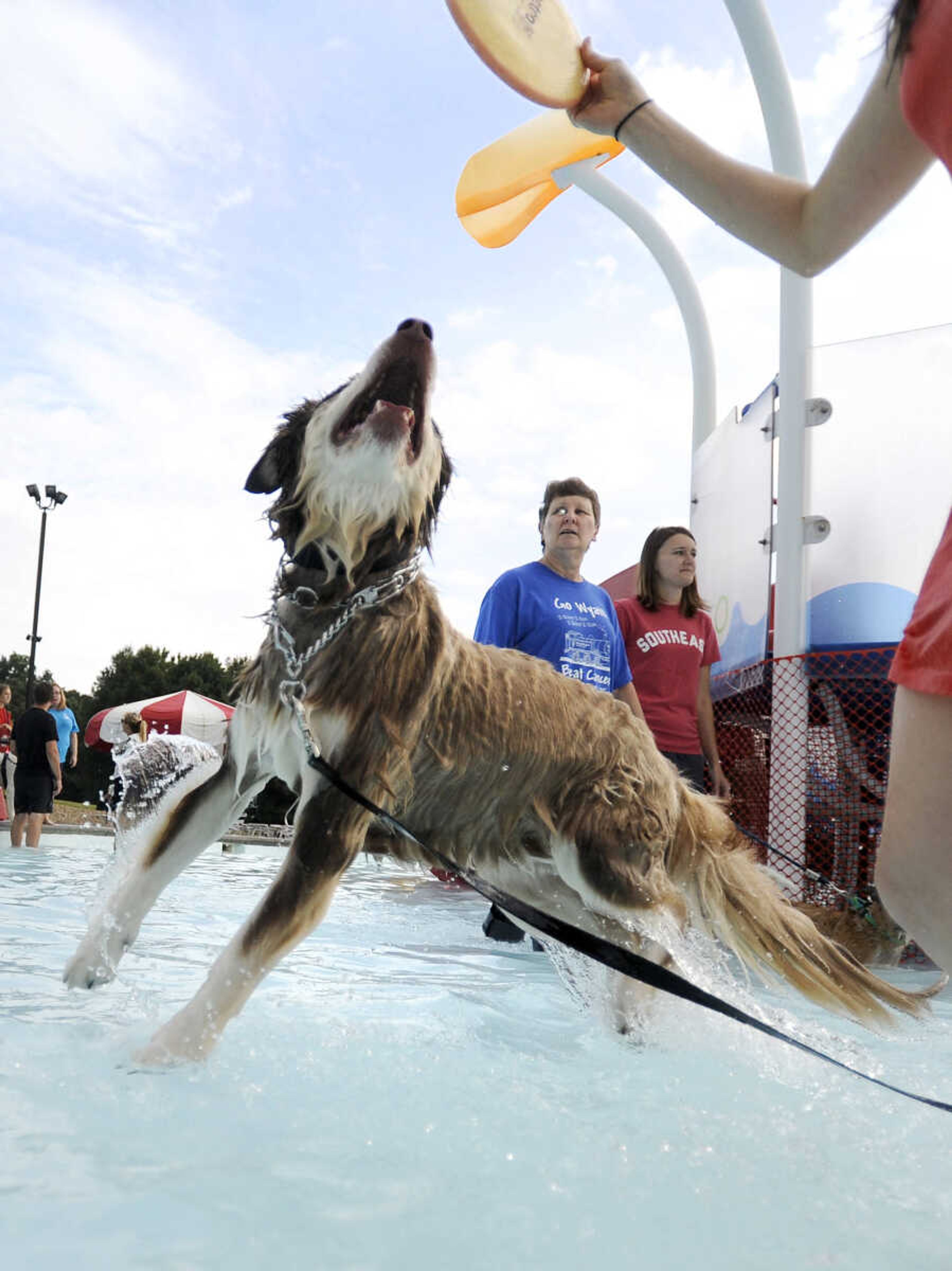 LAURA SIMON ~ lsimon@semissourian.com

Doggy Swim Day at Cape Splash, Sunday, Sept. 27, 2015, in Cape Girardeau. Leashed dogs got to swim and play in the lazy river and swimming pools with their owners. Proceeds from event benefit the Cape Girardeau Parks and Recreation Foundation.