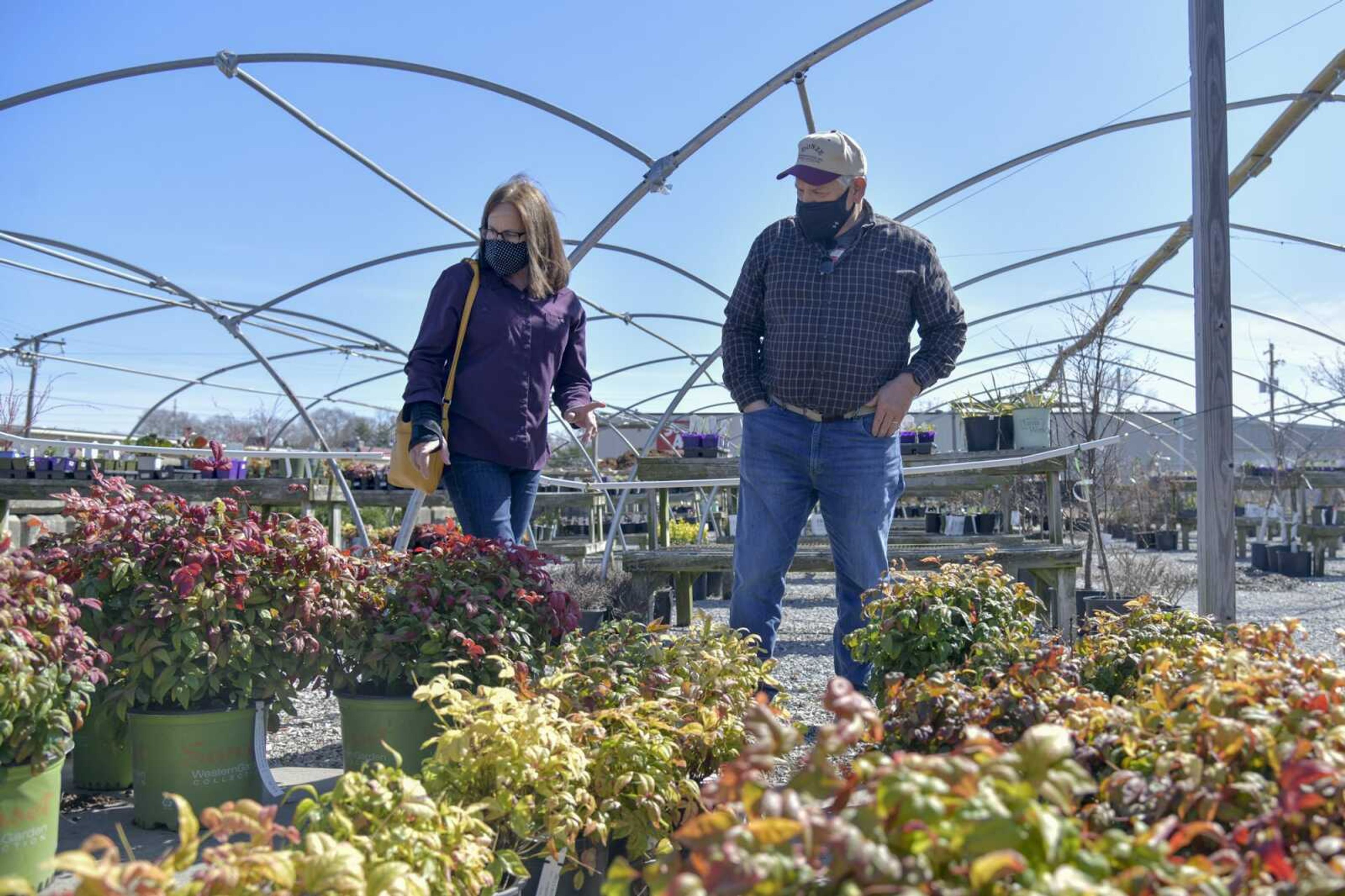 Melanie and Alvin Donze shop for new plants at Sunny Hill Gardens & Florist on Friday in Cape Girardeau.