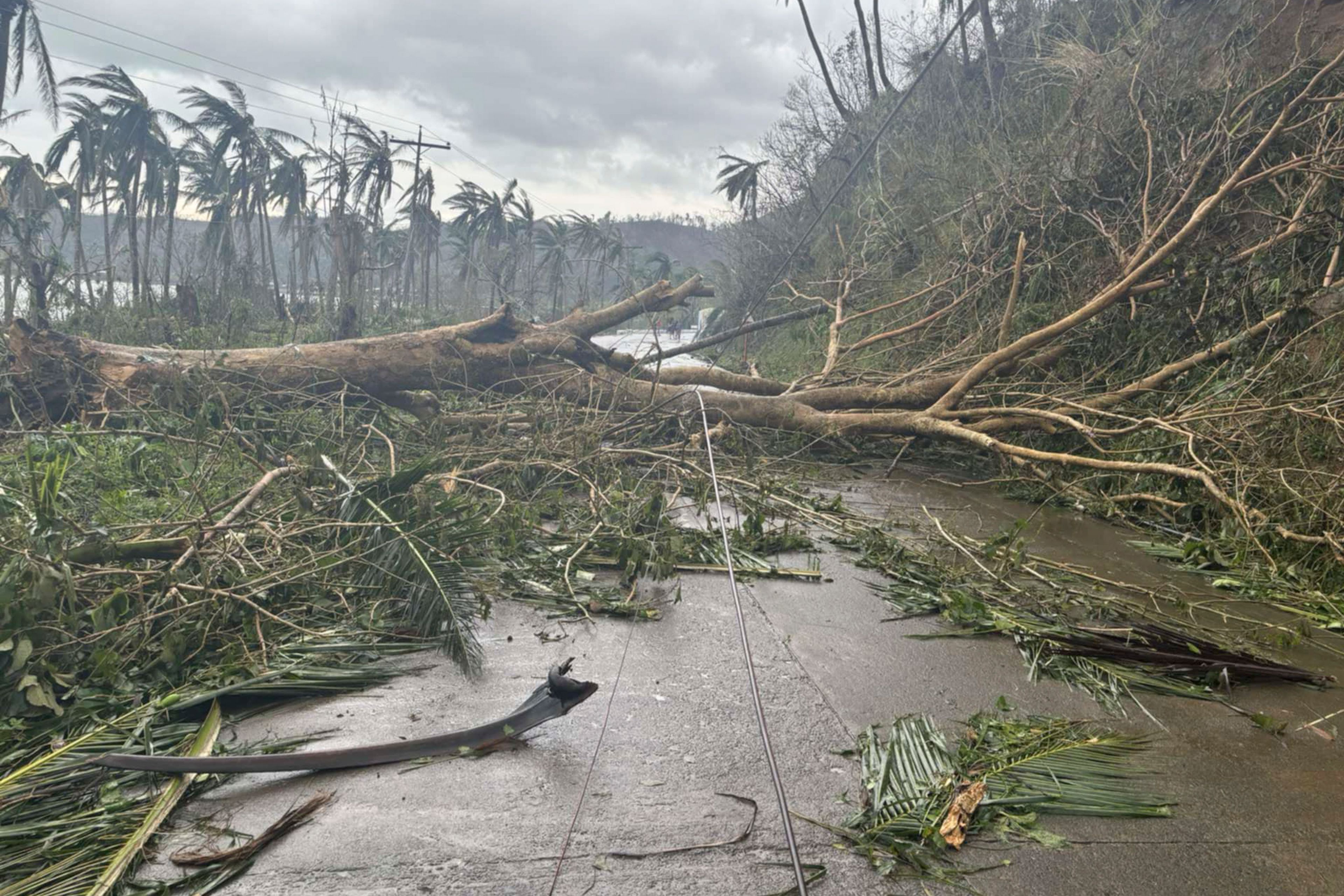 In this photo provided by the MDRRMO Viga Catanduanes, toppled trees caused by Typhoon Man-yi block a road in Viga, Catanduanes province, northeastern Philippines Sunday, Nov. 17, 2024. (MDRRMO Viga Catanduanes via AP)