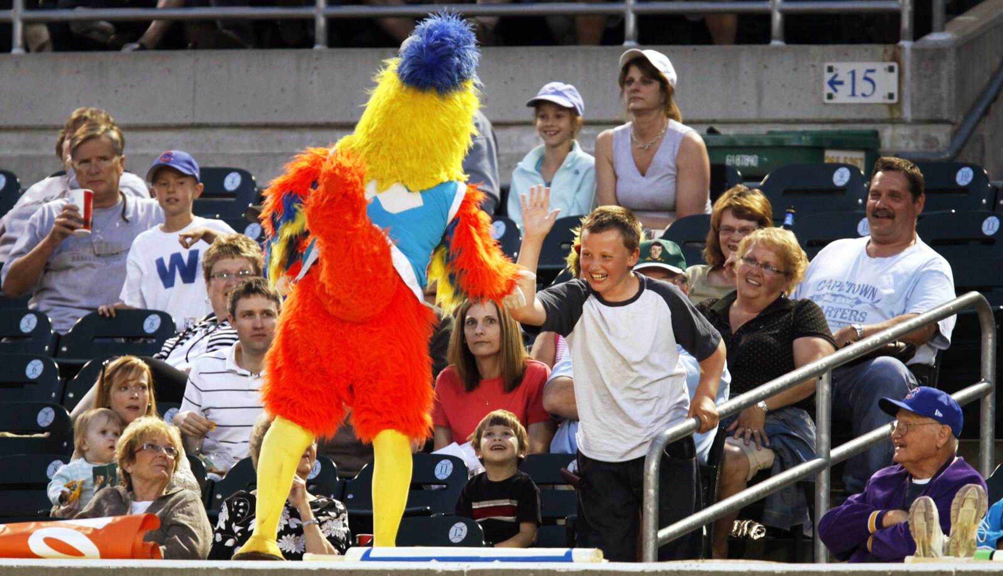 The San Diego Chicken greets fans during the Iowa Cubs' game against the Omaha Royals, Thursday, June 11, 2009, in Des Moines, Iowa. Ted Giannoulas has been playing the San Diego Chicken since the mid-1970s.(AP Photo/Charlie Neibergall)