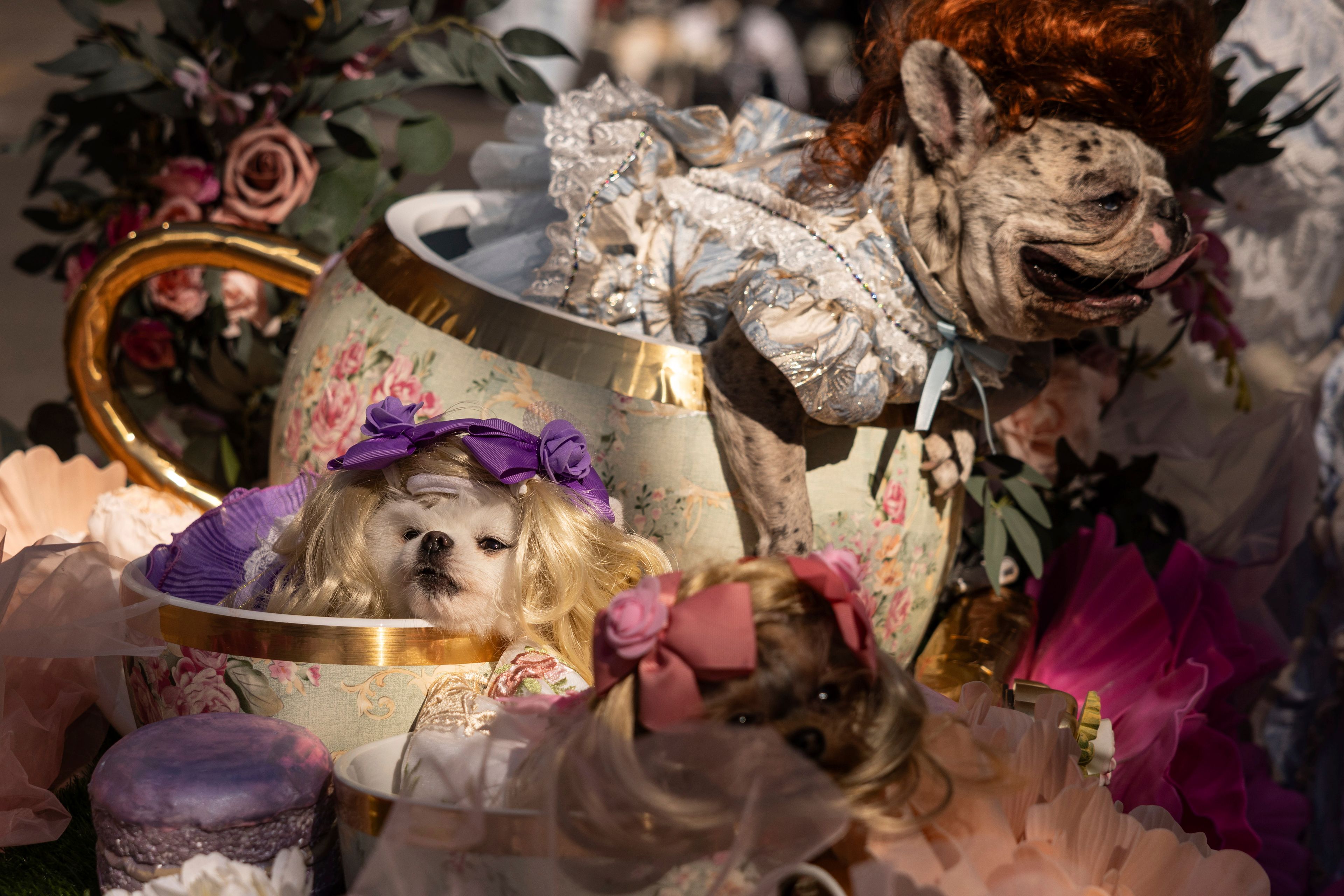 People and their dogs in costume participate in the 34th annual Tompkins Square Halloween Dog Parade, Saturday, Oct. 19, 2024, in New York. (AP Photo/Yuki Iwamura)