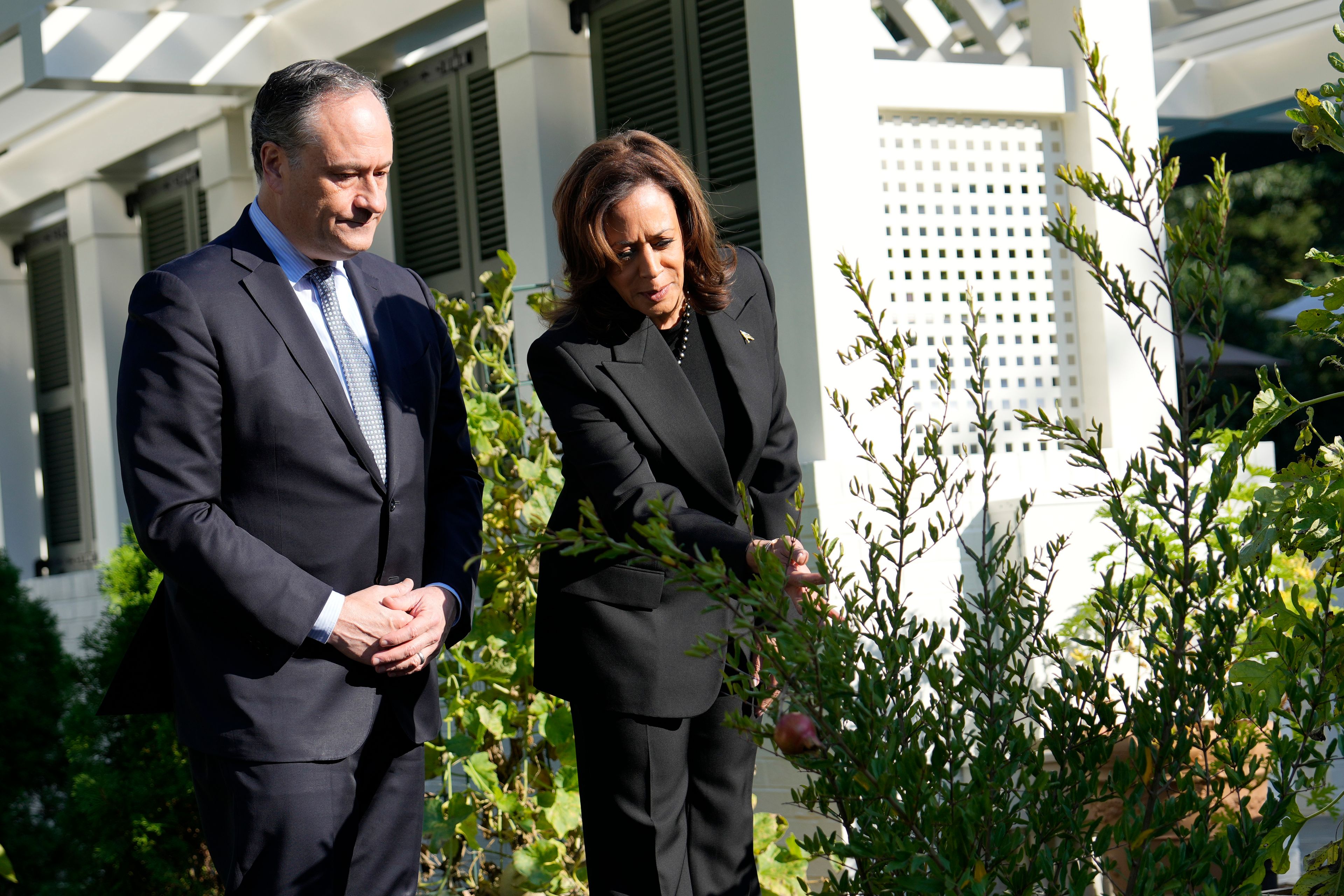 Democratic presidential nominee Vice President Kamala Harris, right, and second gentleman Doug Emhoff look at memorial tree after they planted it on the grounds of the Vice President's residence in Washington on Monday, Oct. 7, 2024, to honor the victims and mark one year since the Oct. 7, 2023, Hamas attack on Israel. (AP Photo/Ben Curtis)