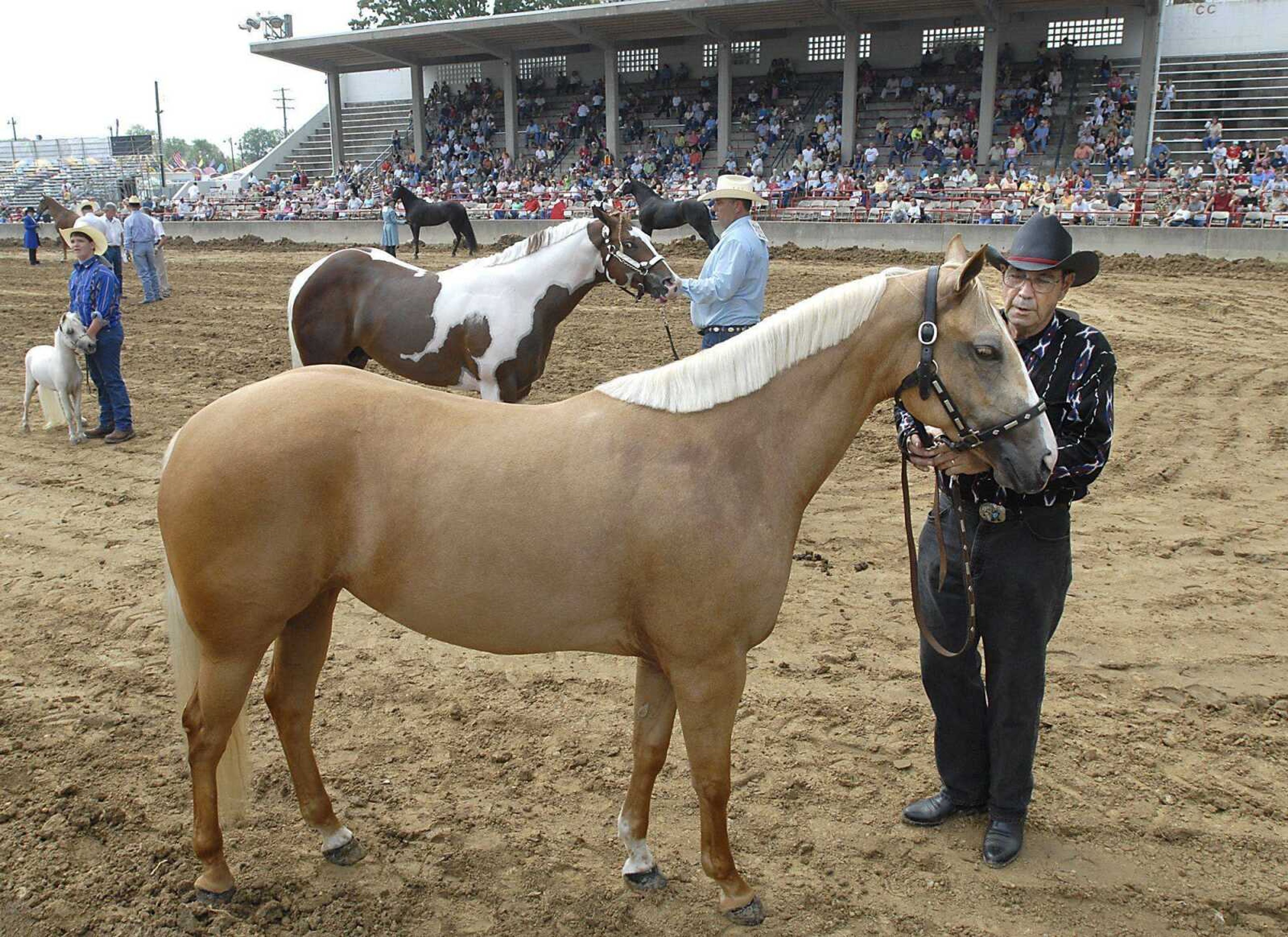 Bill Stull of Scott City showed quarterhorse I'm a Skips Rose in the senior western halter class at the SEMO District Fair. (Fred Lynch)