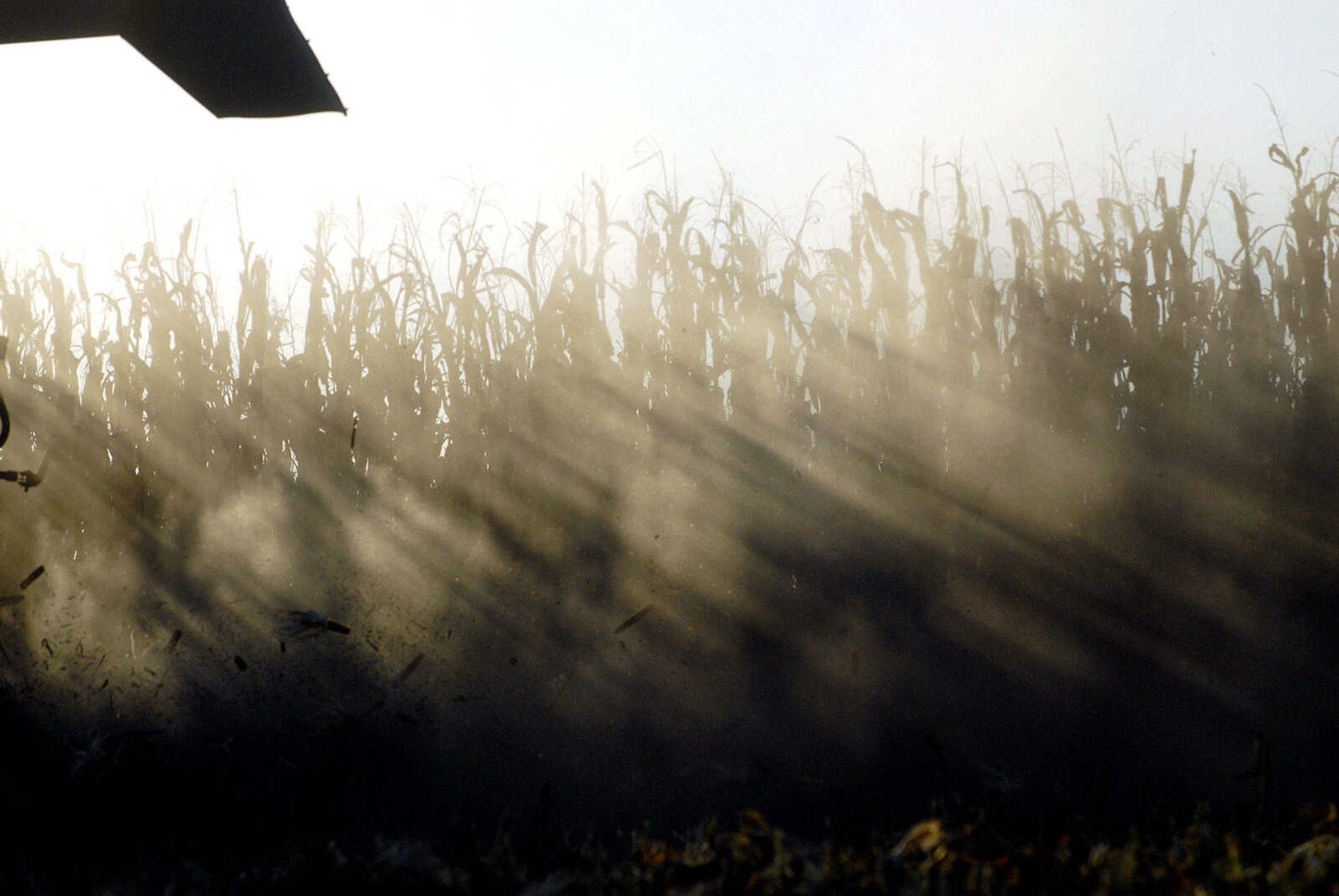 LAURA SIMON ~ lsimon@semissourian.com
Dust fills the air as Frank Milde of Milde Farms Inc. harvests a field of corn using a Model 2388 International combine eight row corn head Tuesday, October 4, 2011 near Jackson, Mo.