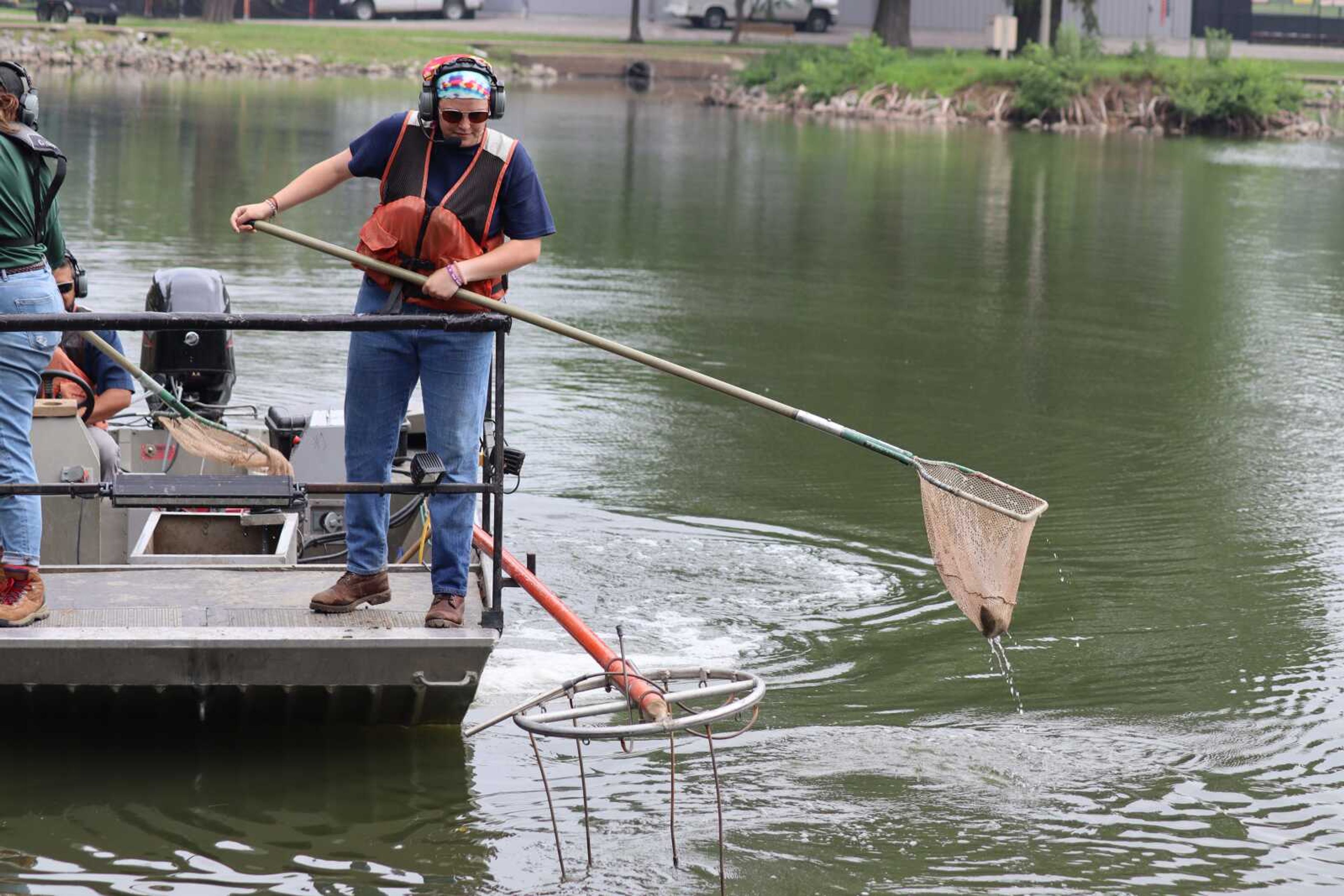 State Department of Conservation's Rebecca Freitas catches fish for relocation while electrofishing in the pond at Capaha Park on Tuesday. The dredging of Capaha Park's pond is expected to start around June 13. Conservation officials are moving the fish to ponds at Cape County North and South parks. More photos are in a gallery at semissourian.com.